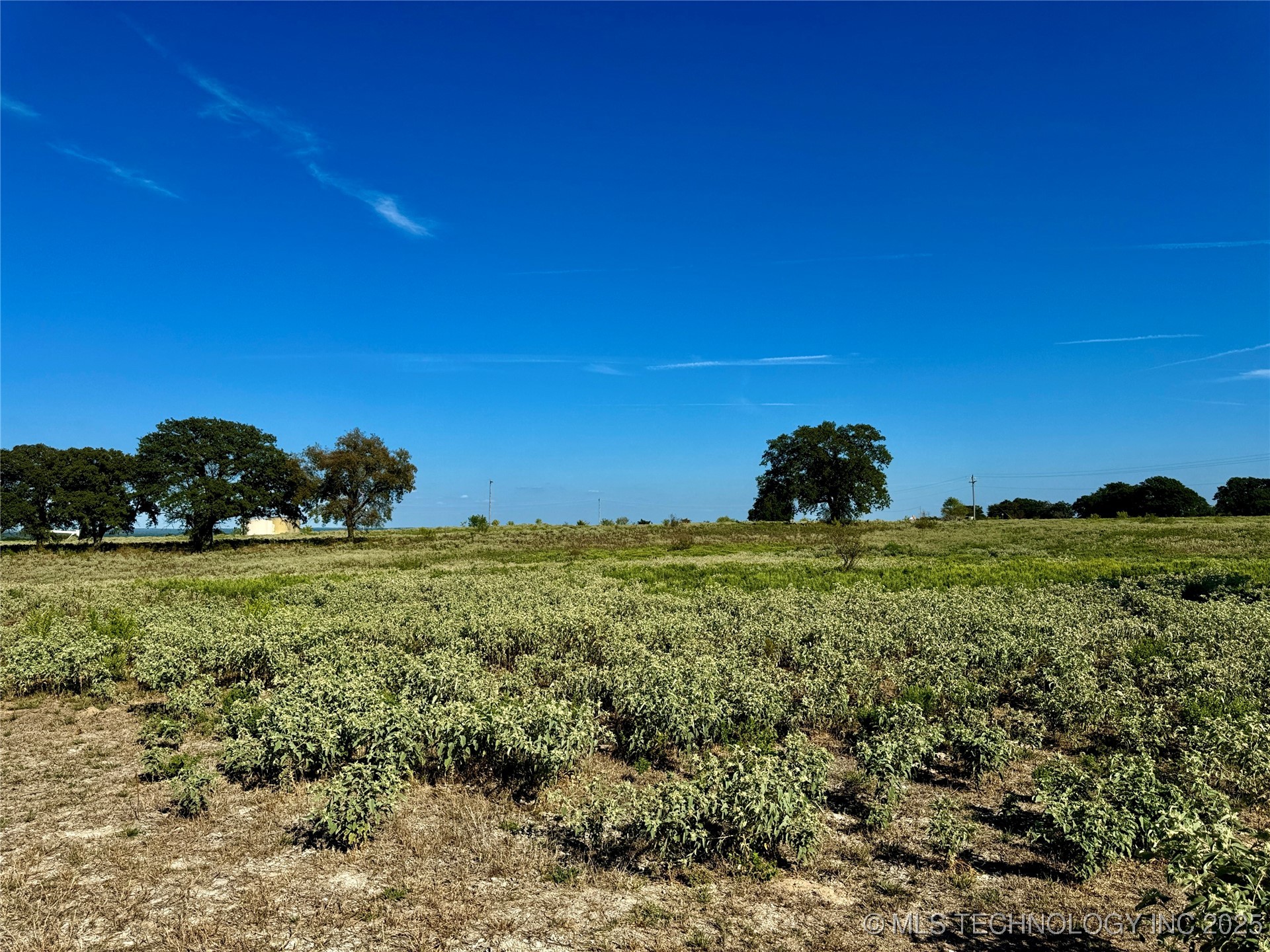 9981 Addington Bend Road Property Photo 19