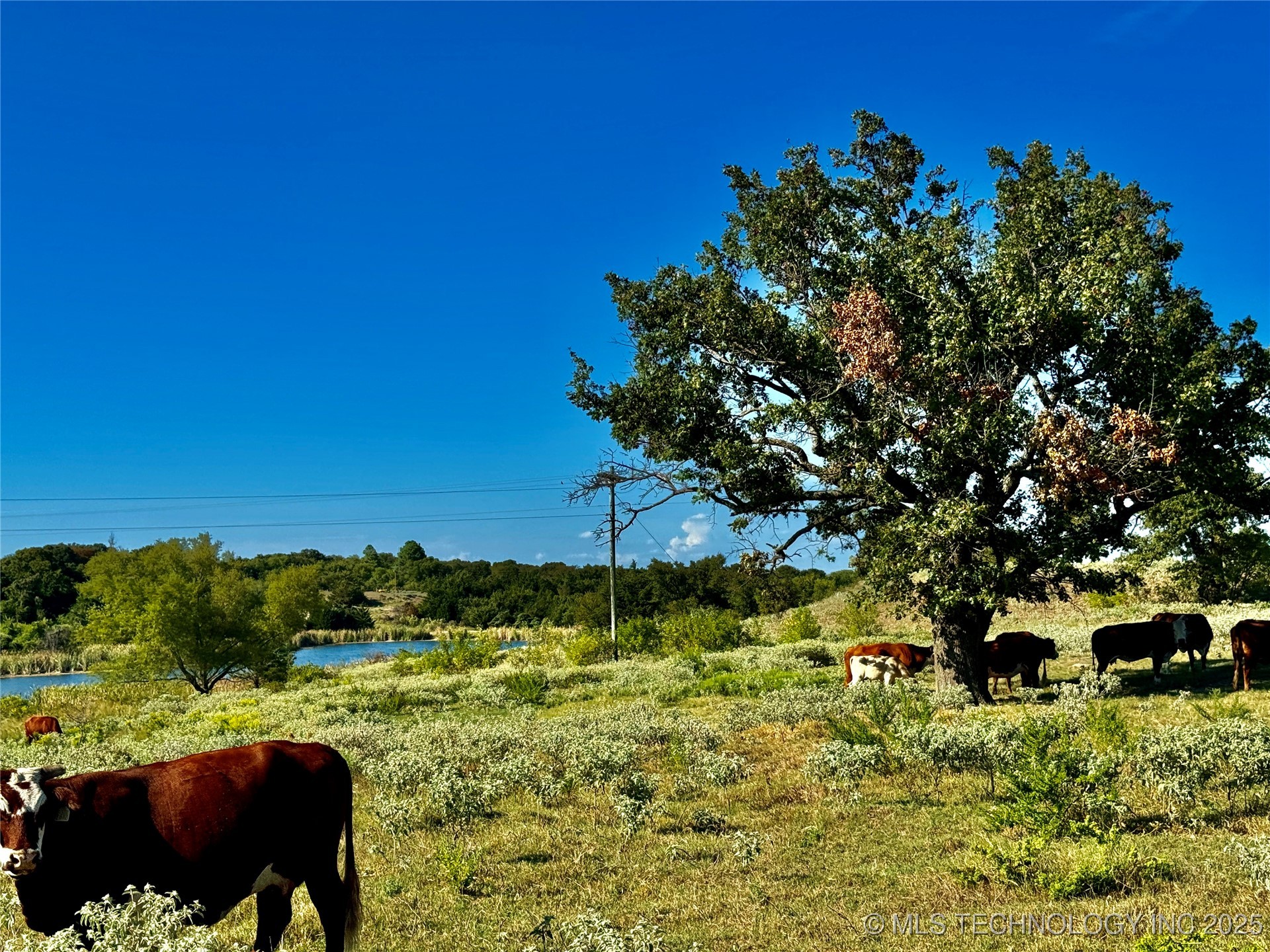 9981 Addington Bend Road Property Photo 26