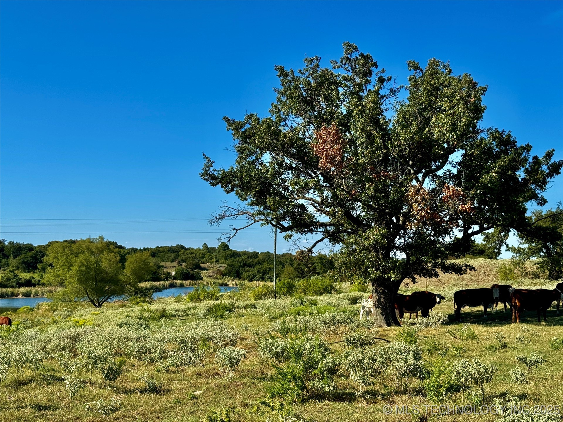 9981 Addington Bend Road Property Photo 27