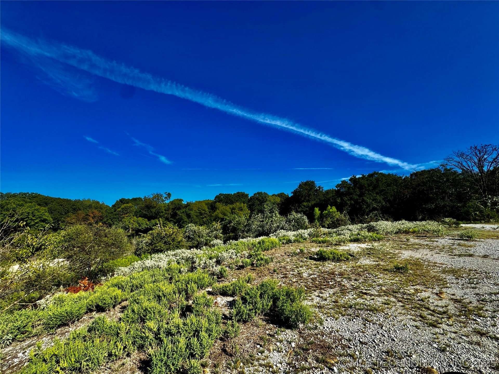 9981 Addington Bend Road Property Photo 35