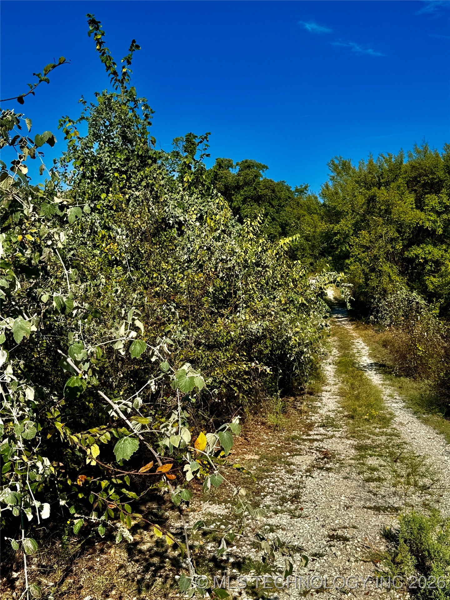 9981 Addington Bend Road Property Photo 36