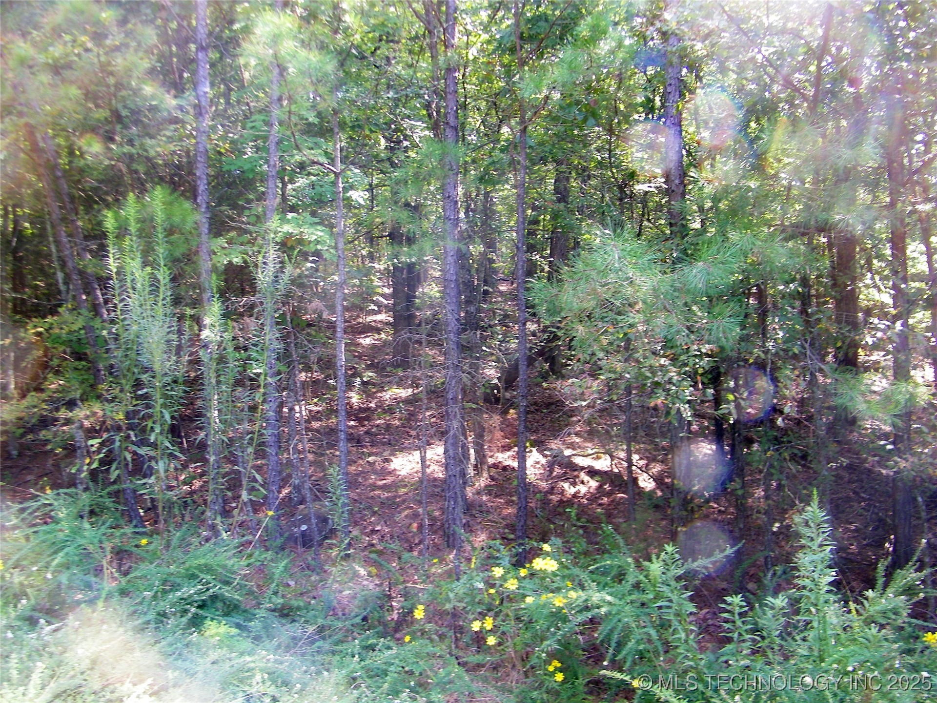 State Highway 82 Property Photo 3