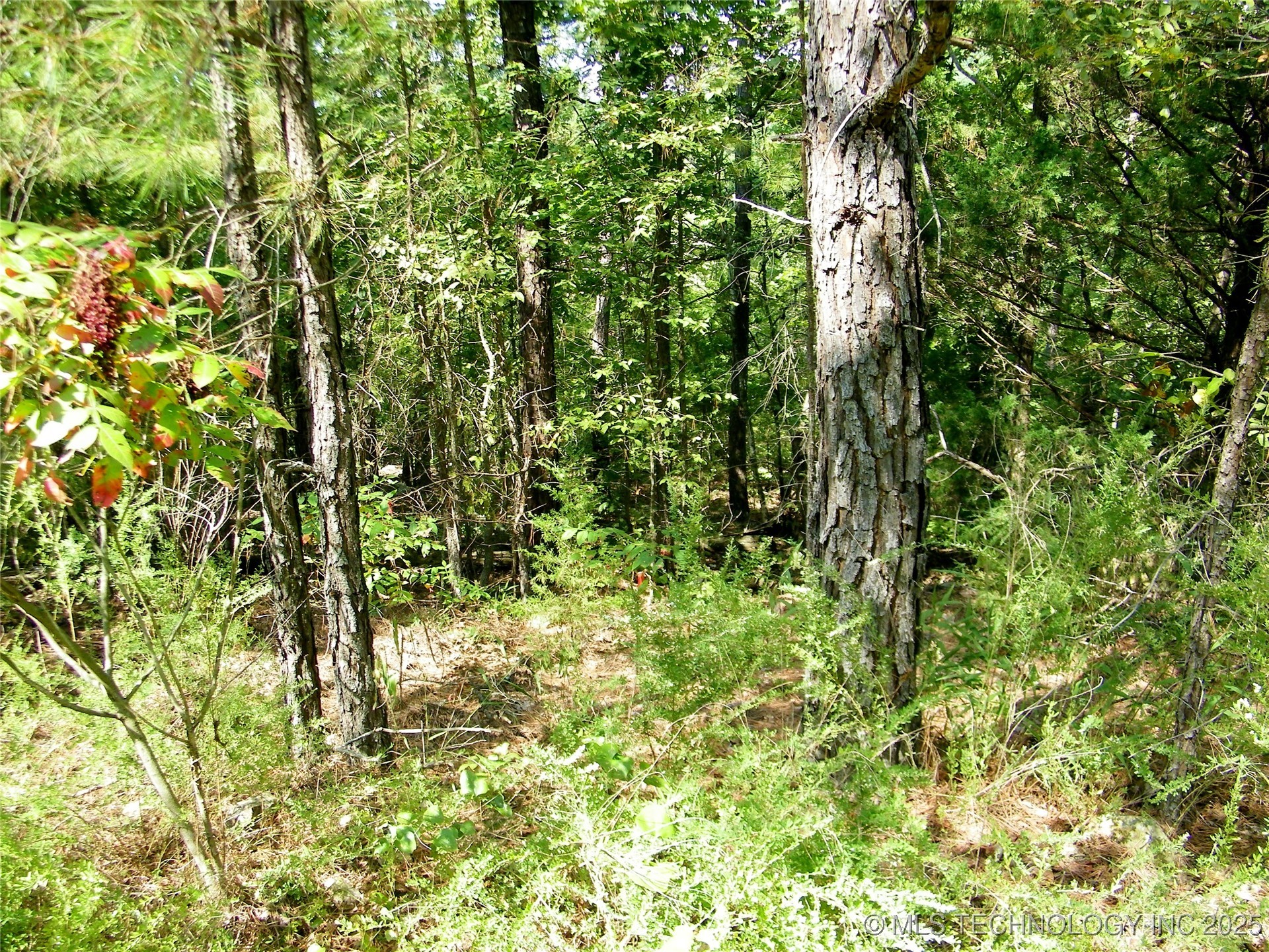 State Highway 82 Property Photo 4