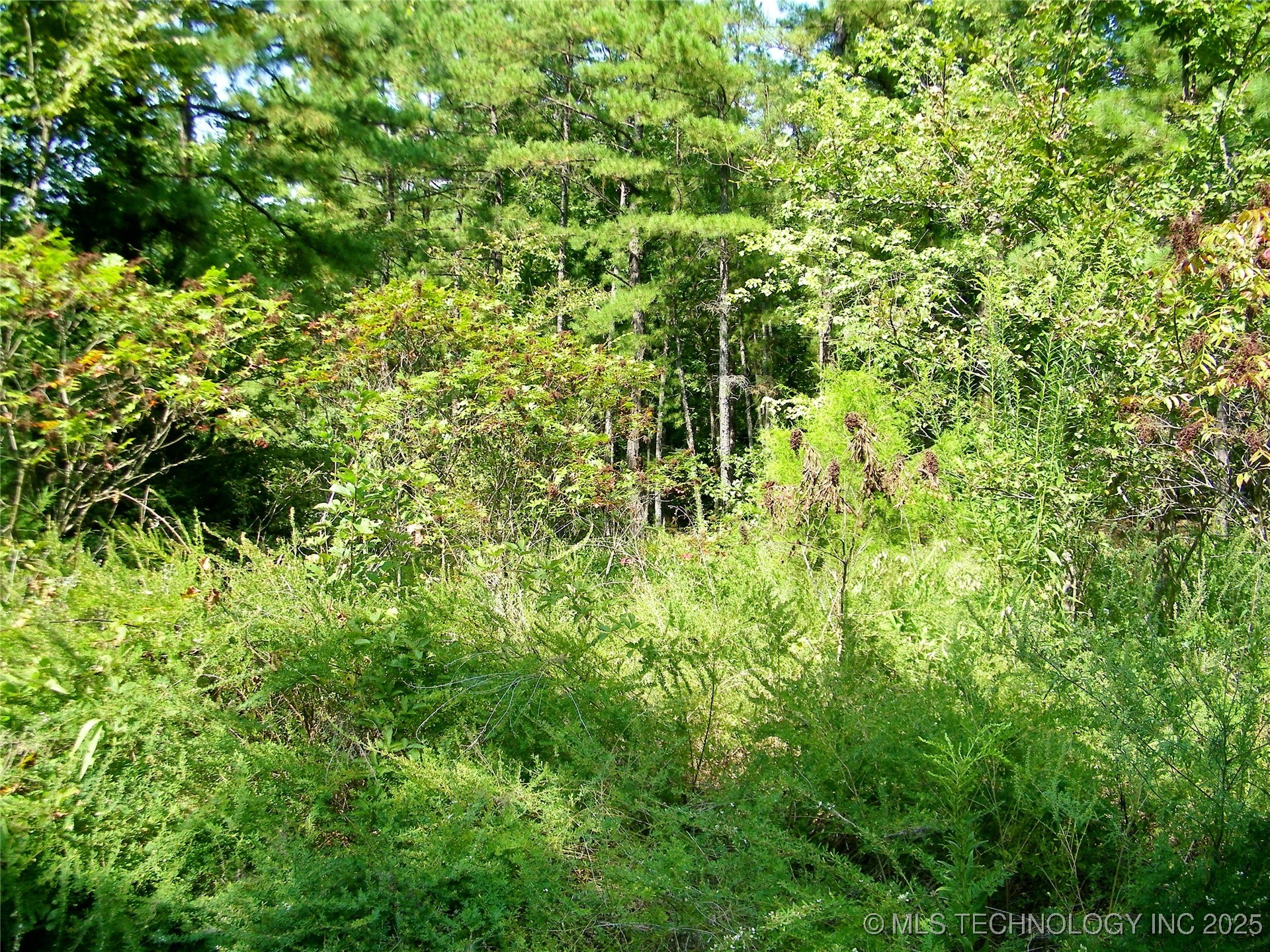 State Highway 82 Property Photo 6