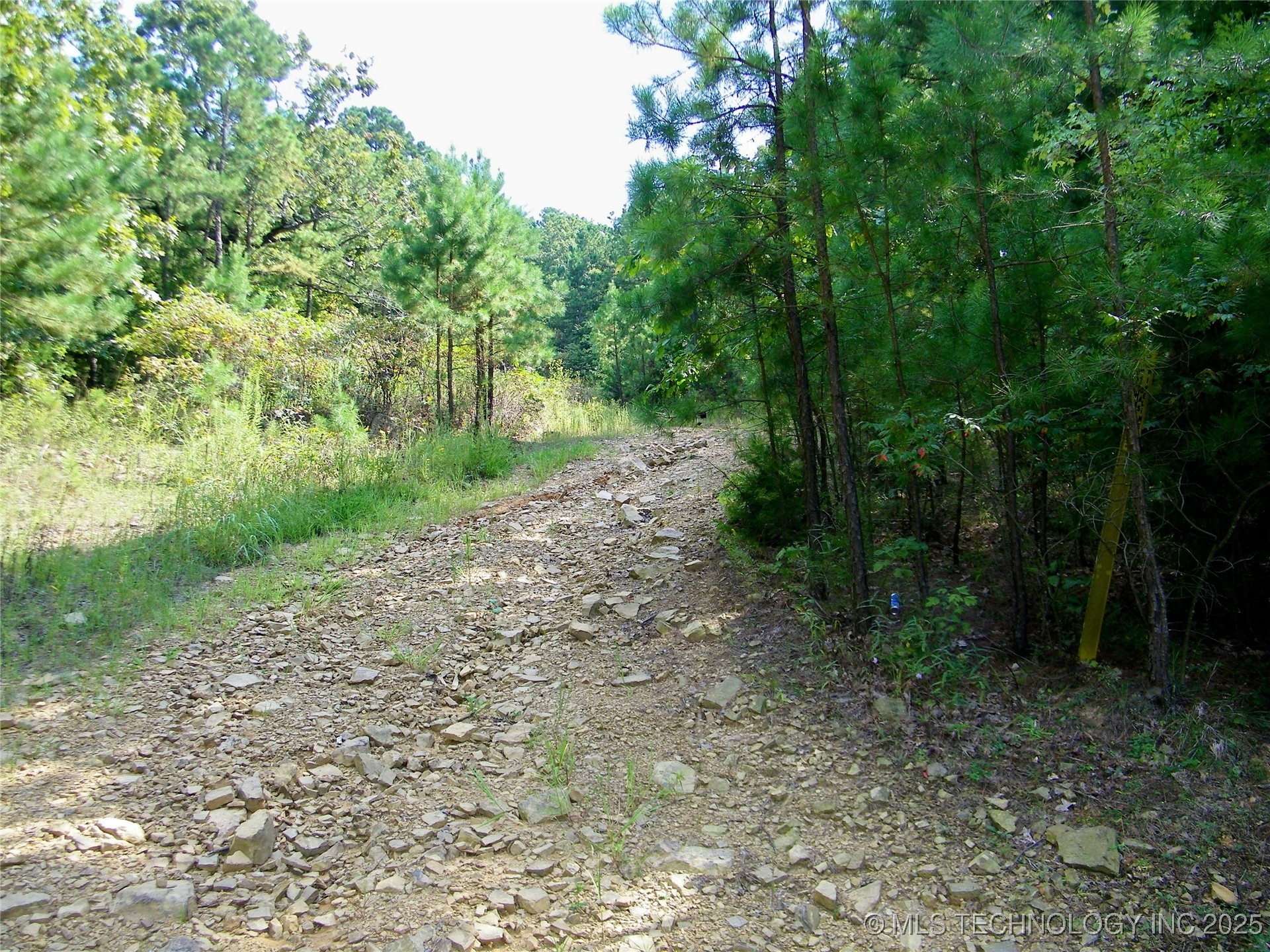 State Highway 82 Property Photo 8