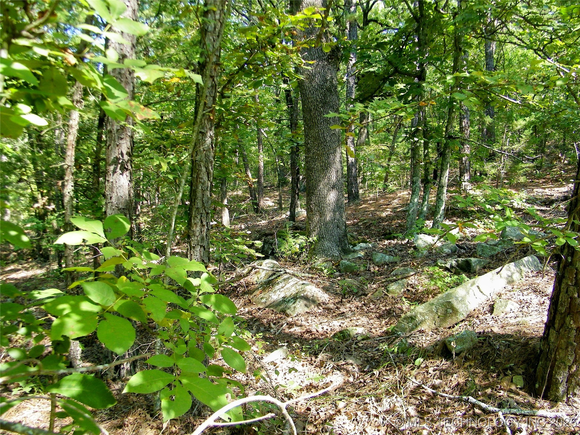 State Highway 82 Property Photo 9