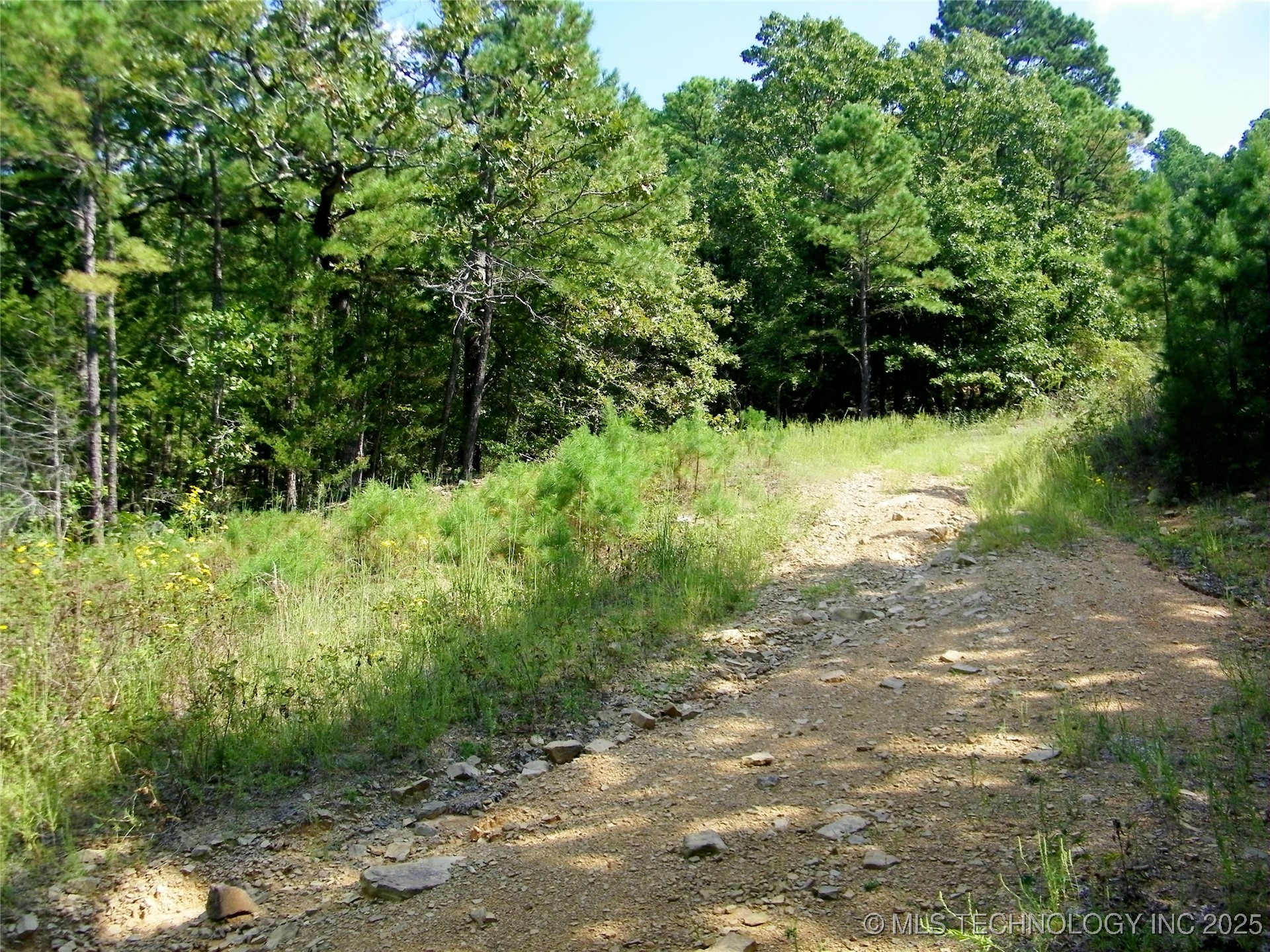 State Highway 82 Property Photo 12