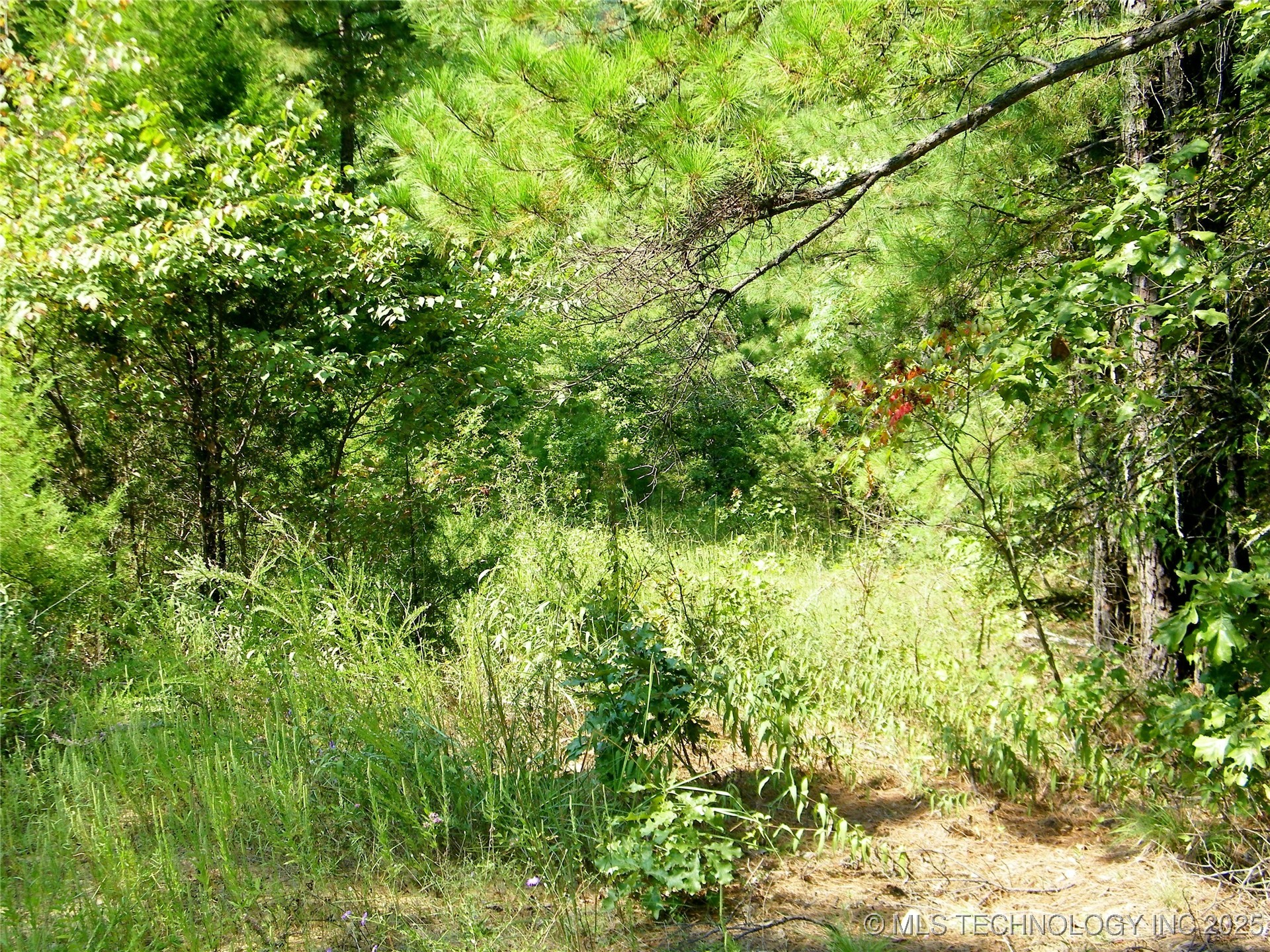 State Highway 82 Property Photo 22