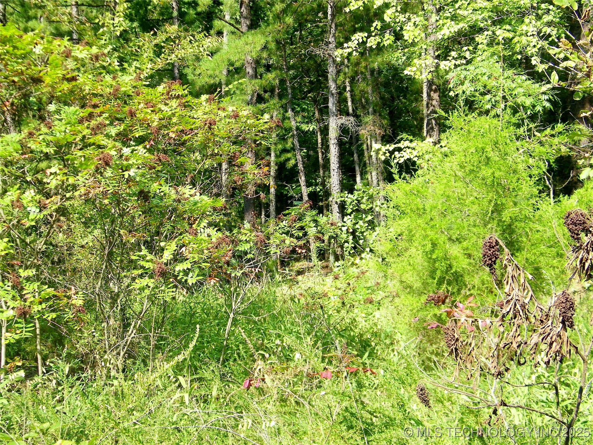 State Highway 82 Property Photo 24