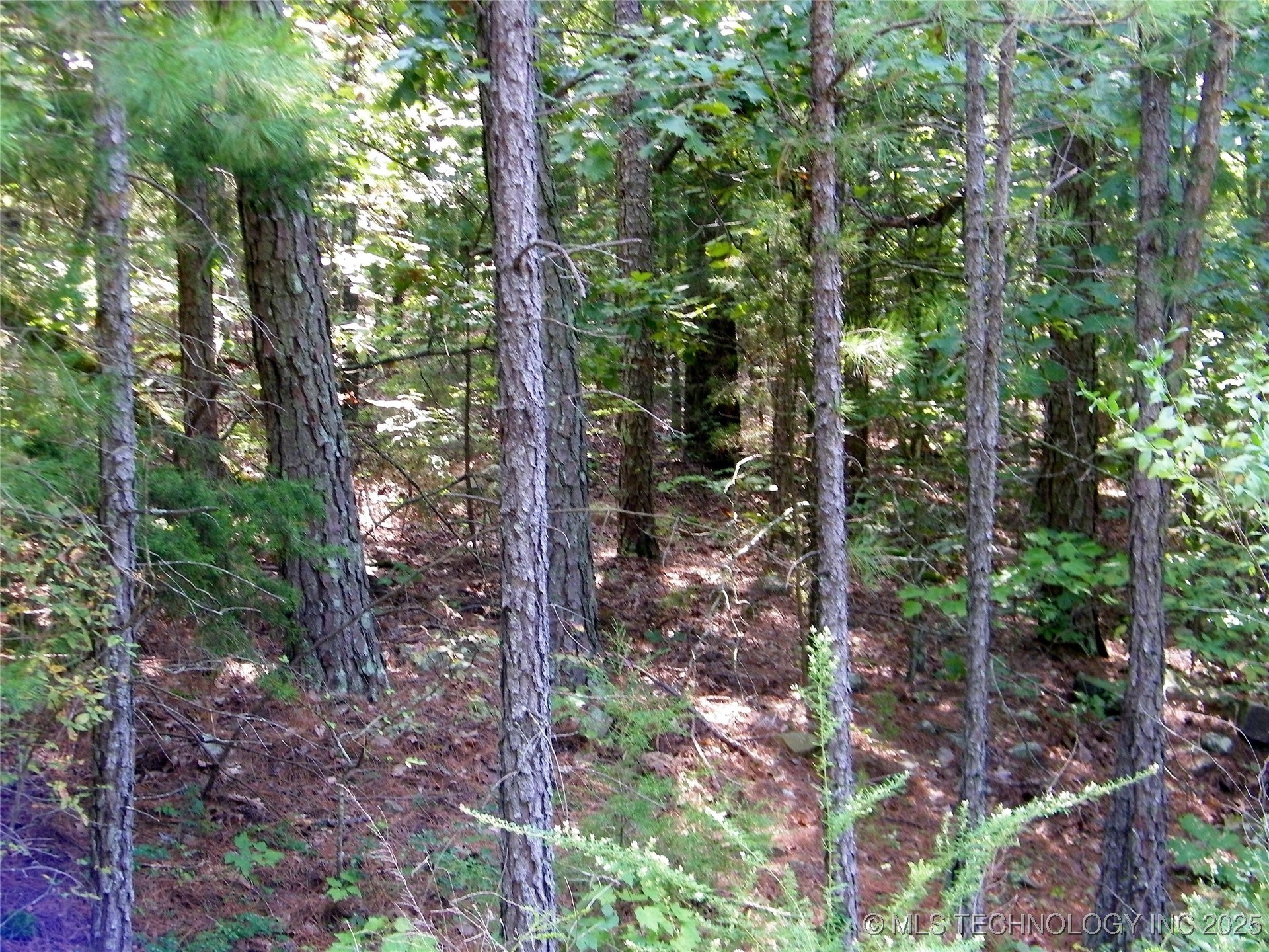 State Highway 82 Property Photo 25