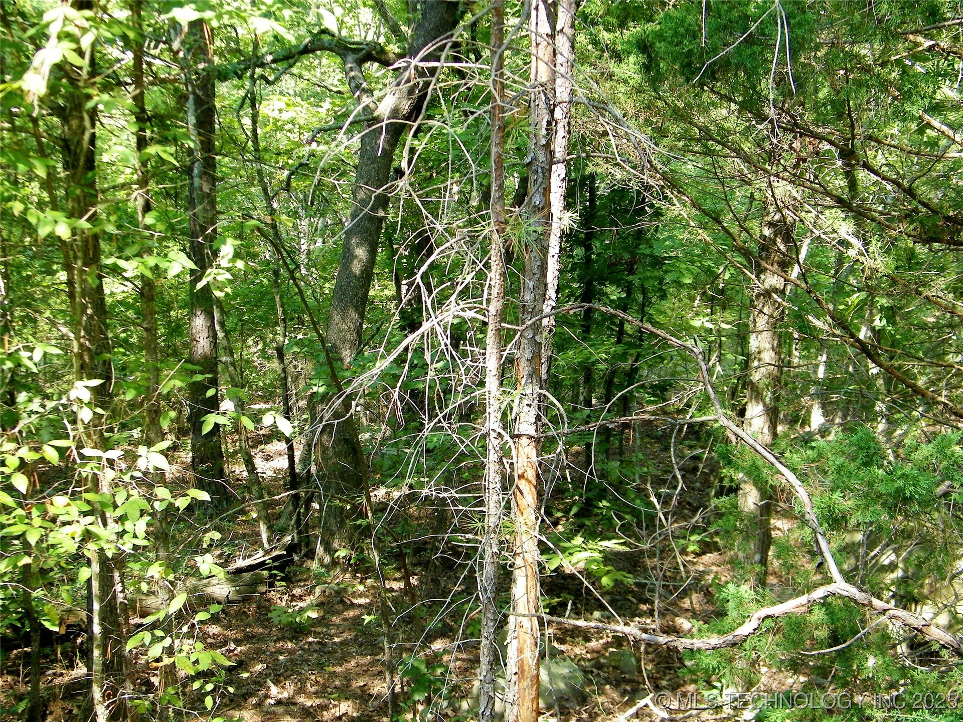 State Highway 82 Property Photo 27