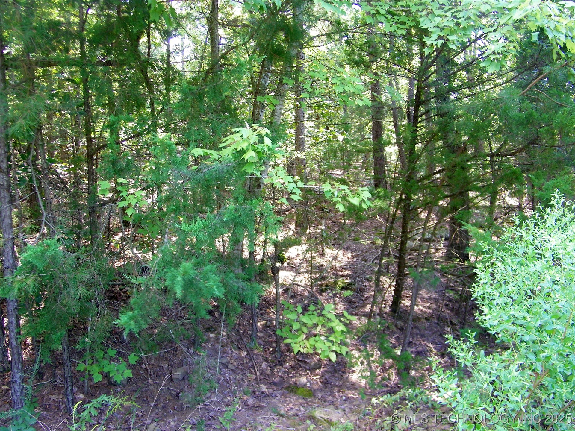 State Highway 82 Property Photo 31