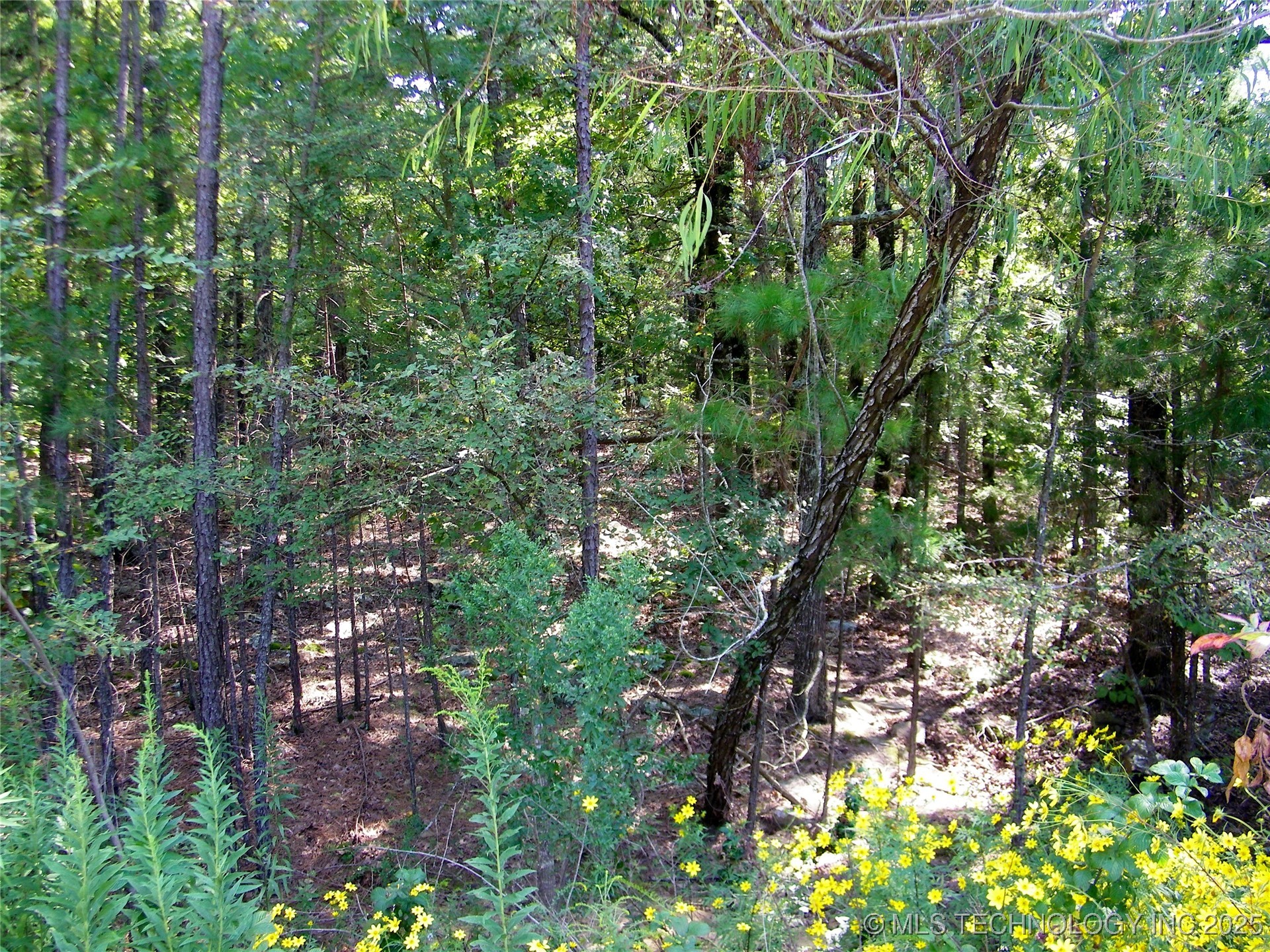 State Highway 82 Property Photo 33