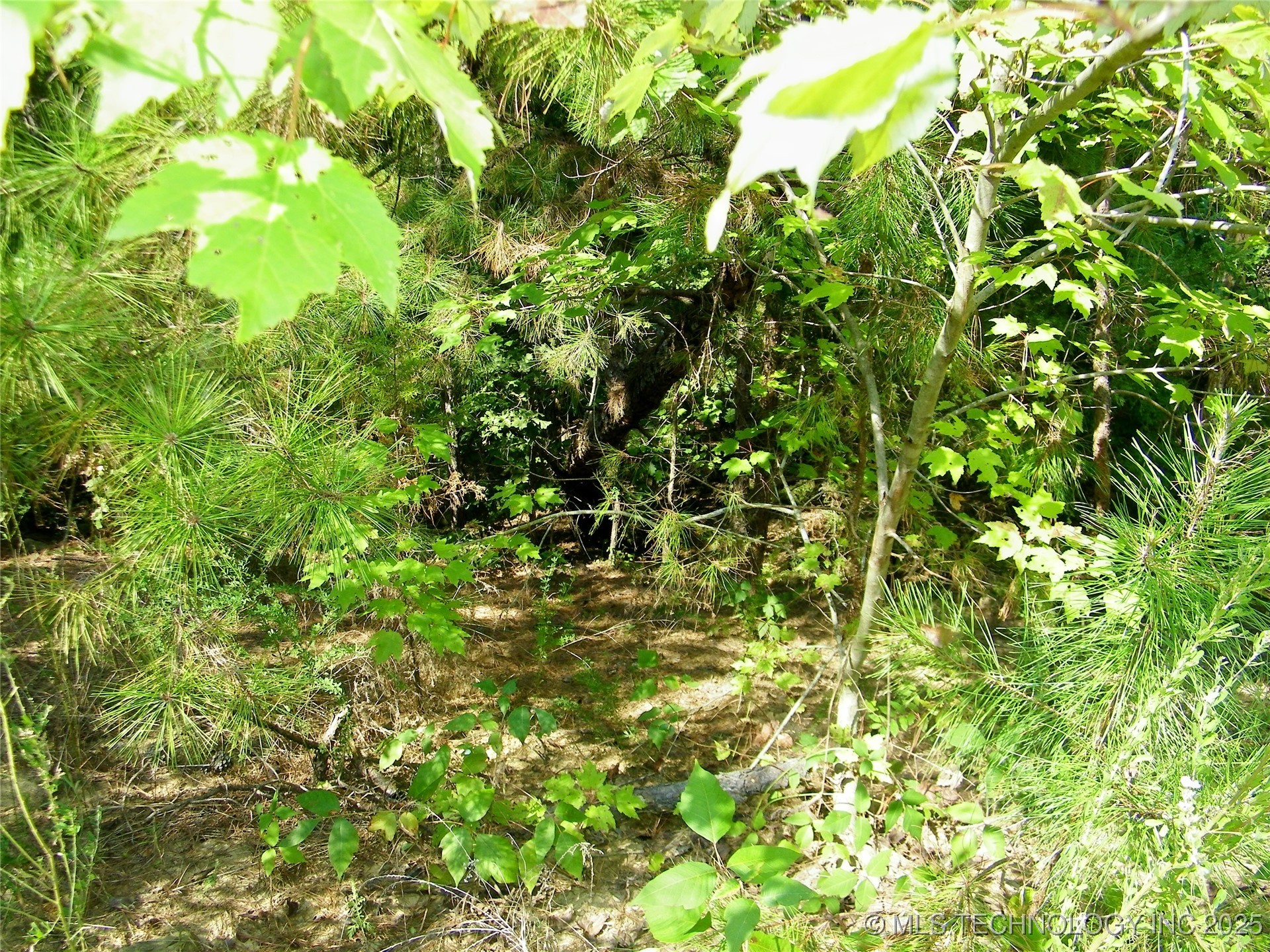 State Highway 82 Property Photo 34