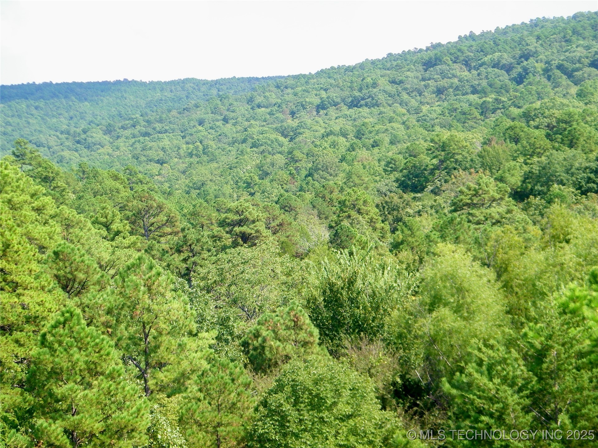 State Highway 82 Property Photo 40