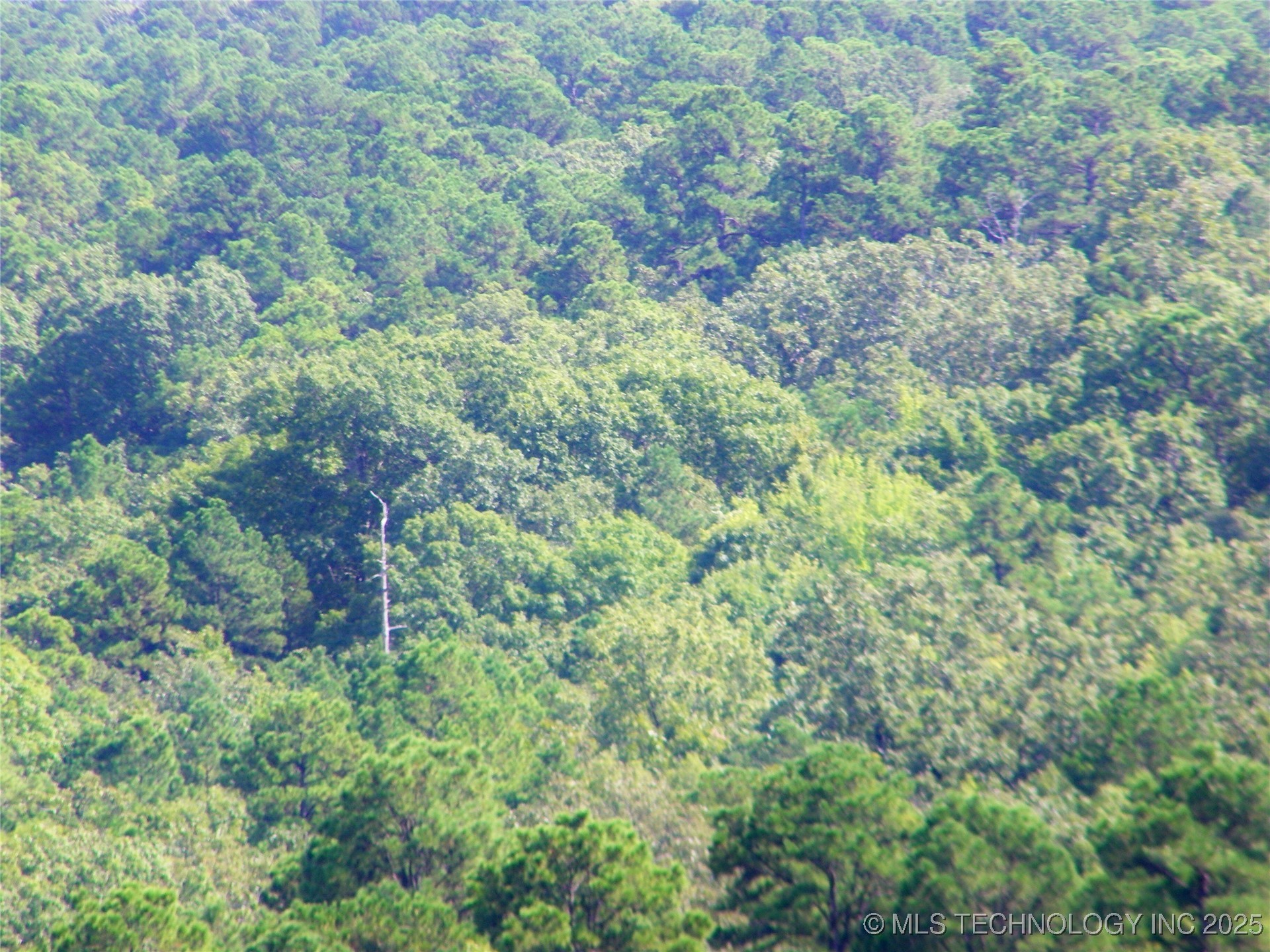 State Highway 82 Property Photo 41