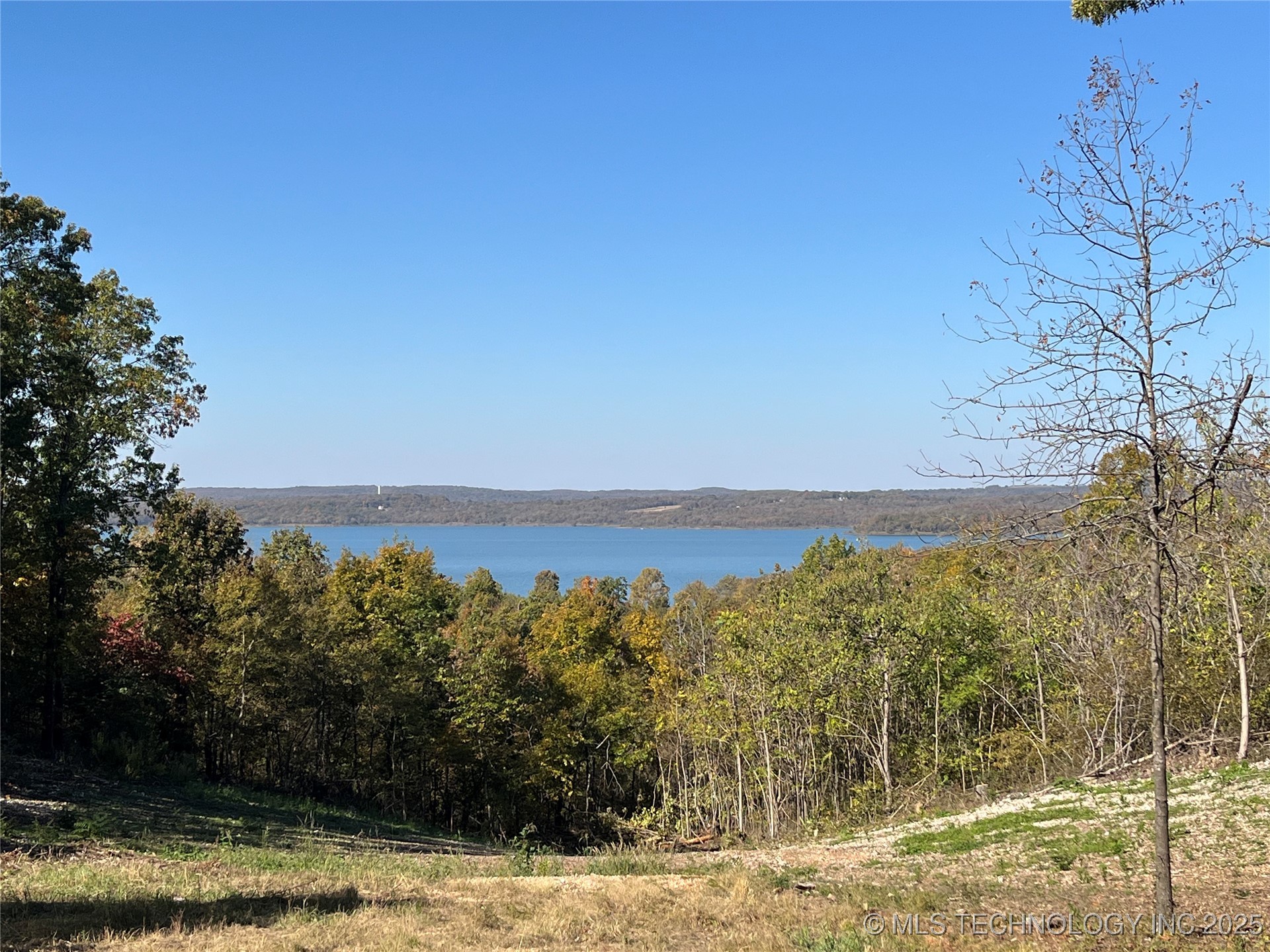 36001 S Dogwood W Property Photo 1