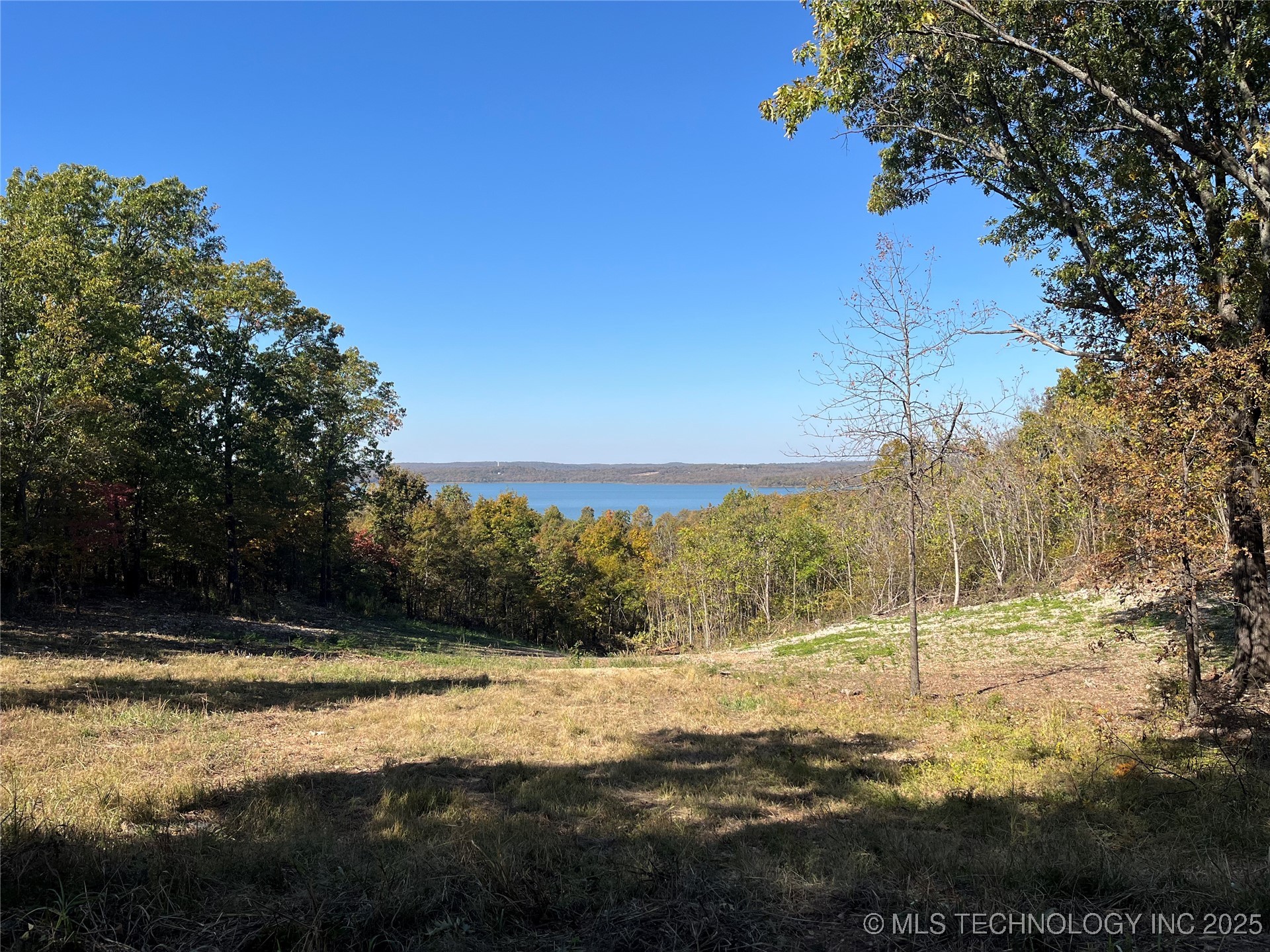 36001 S Dogwood W Property Photo 2