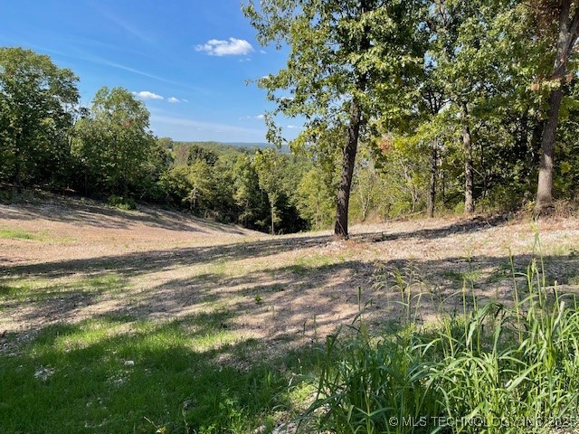 36001 S Dogwood W Property Photo 11