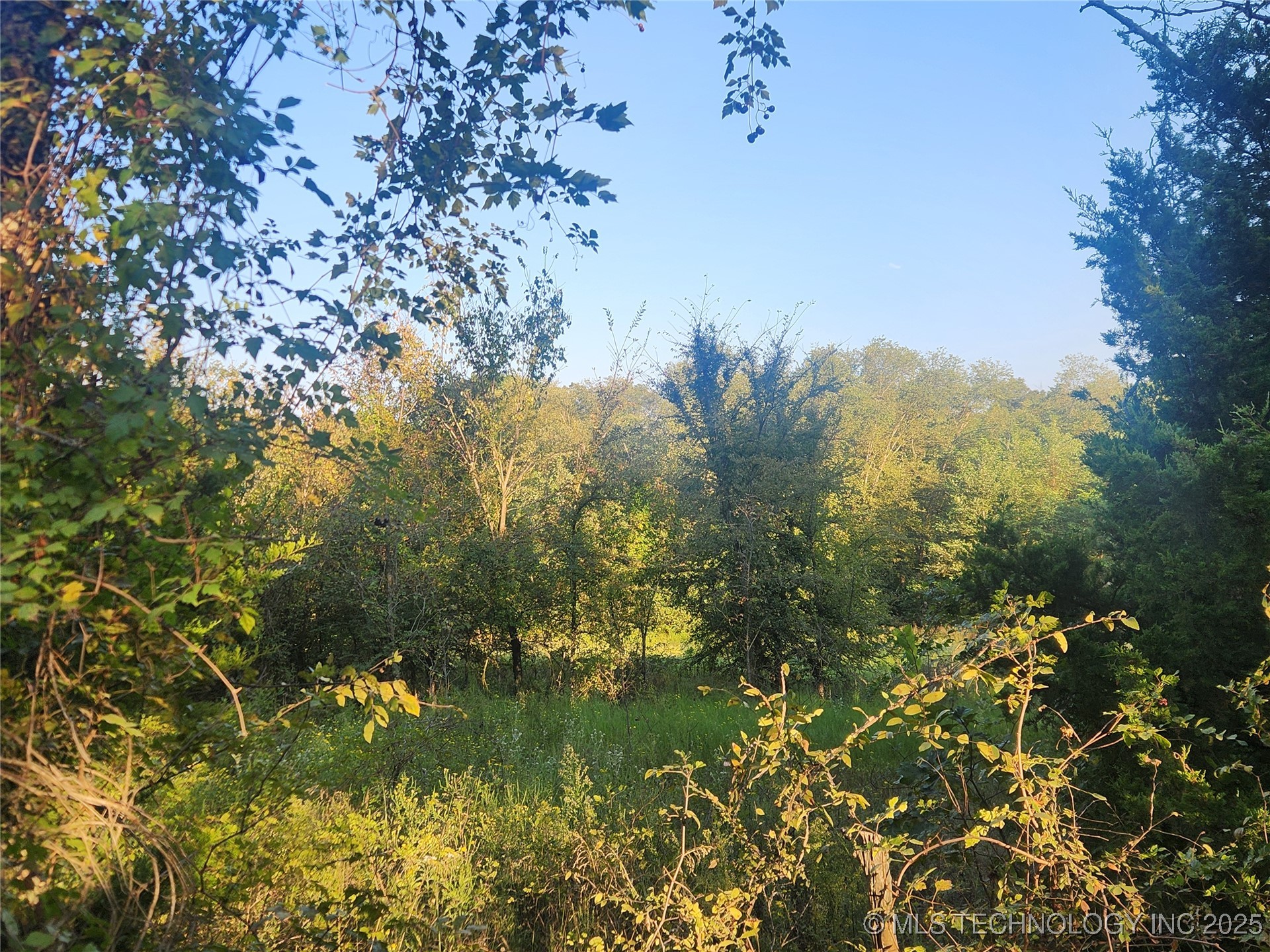 8388 S Research Property Photo 13