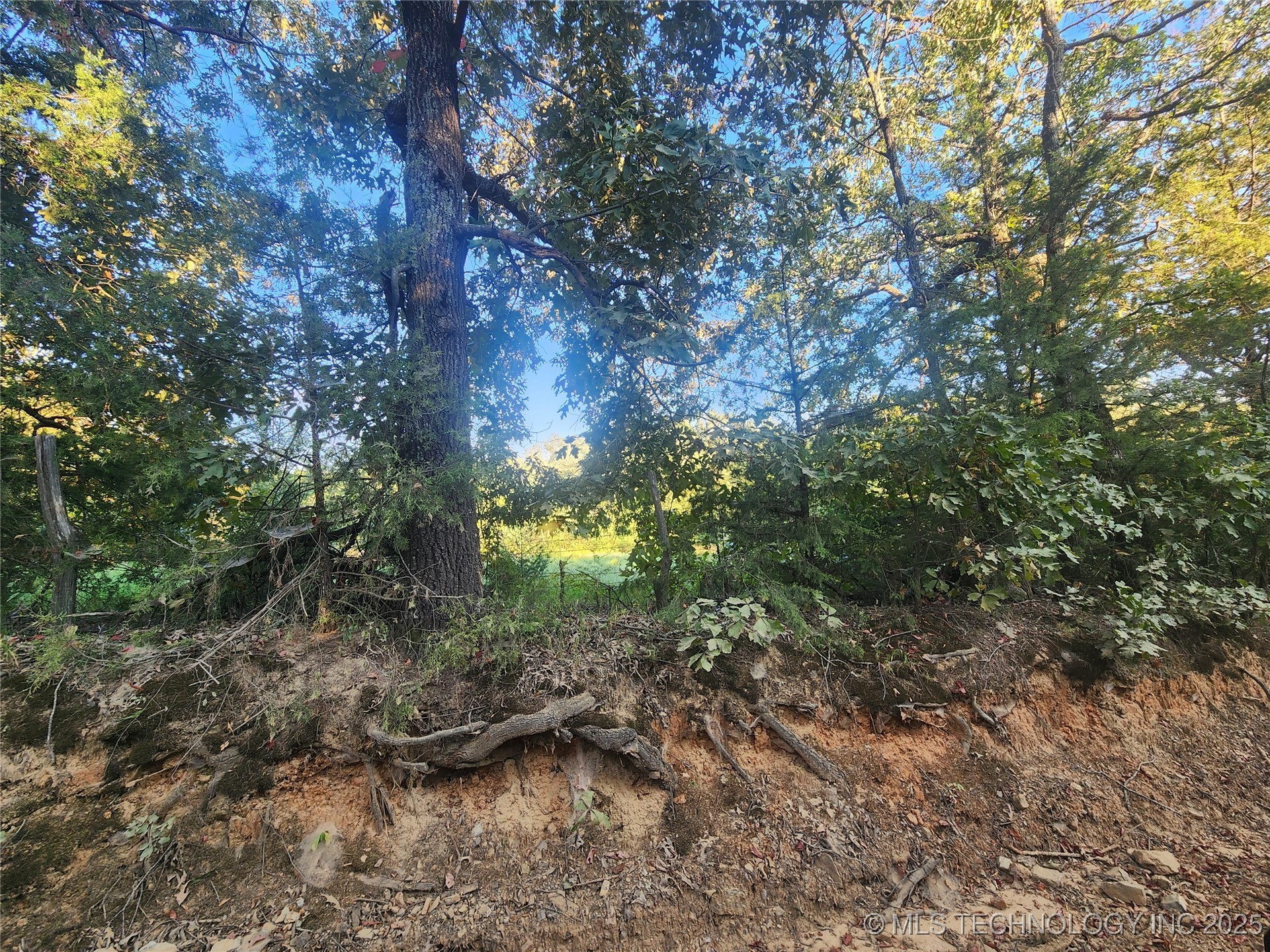 8388 S Research Property Photo 14