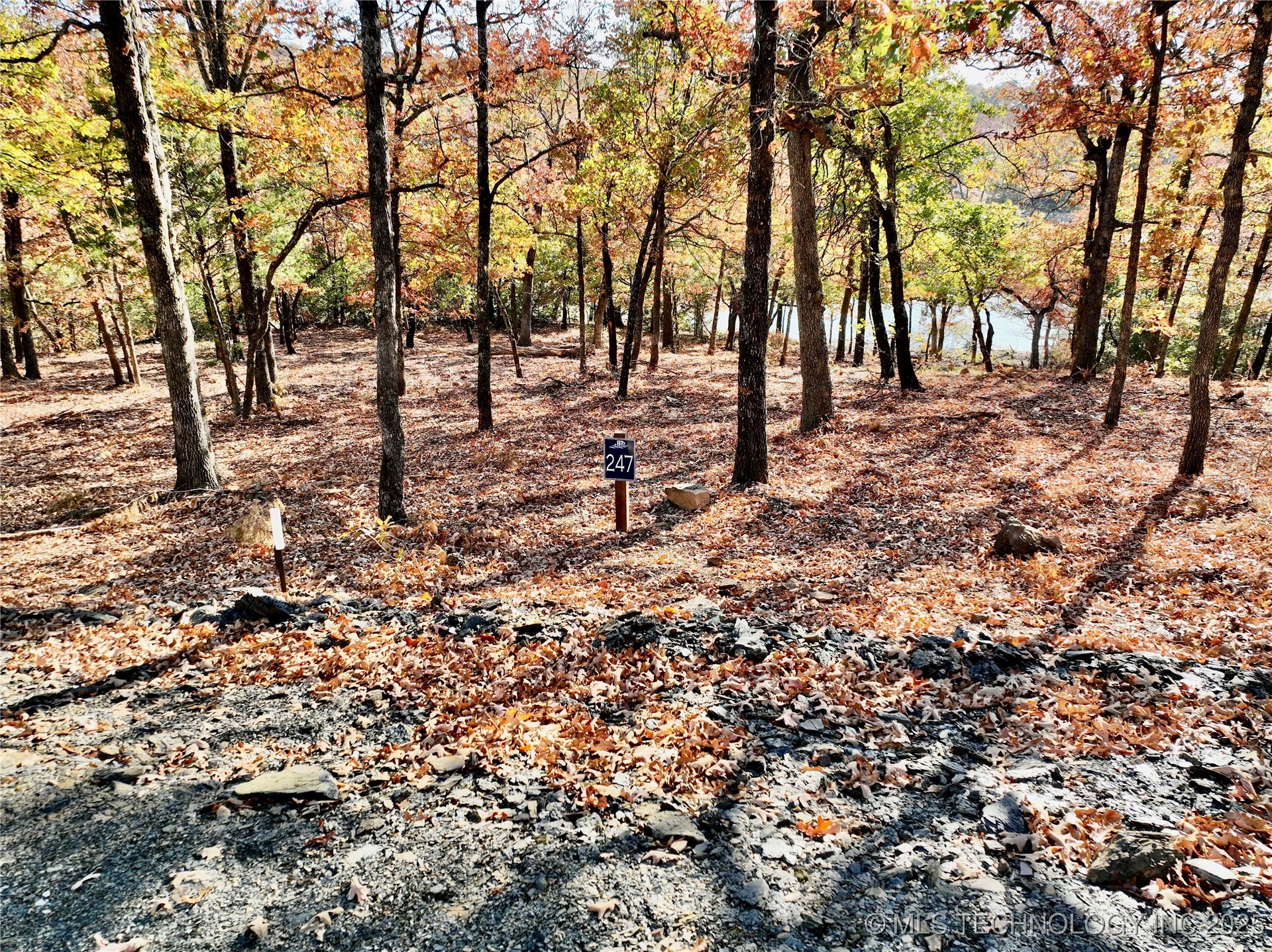 247 Patriot Pointe Property Photo 5