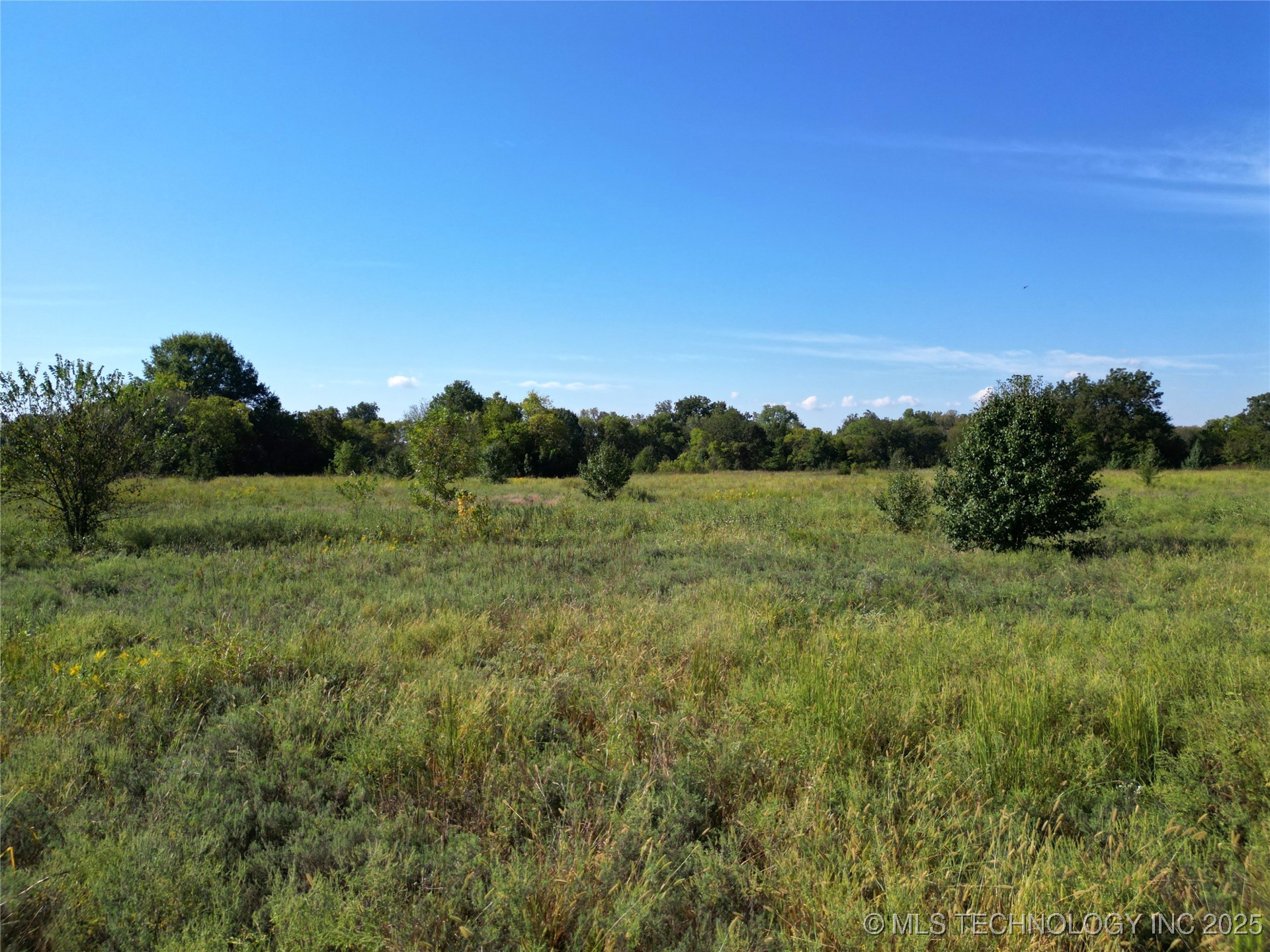 2541427 Property Photo 9