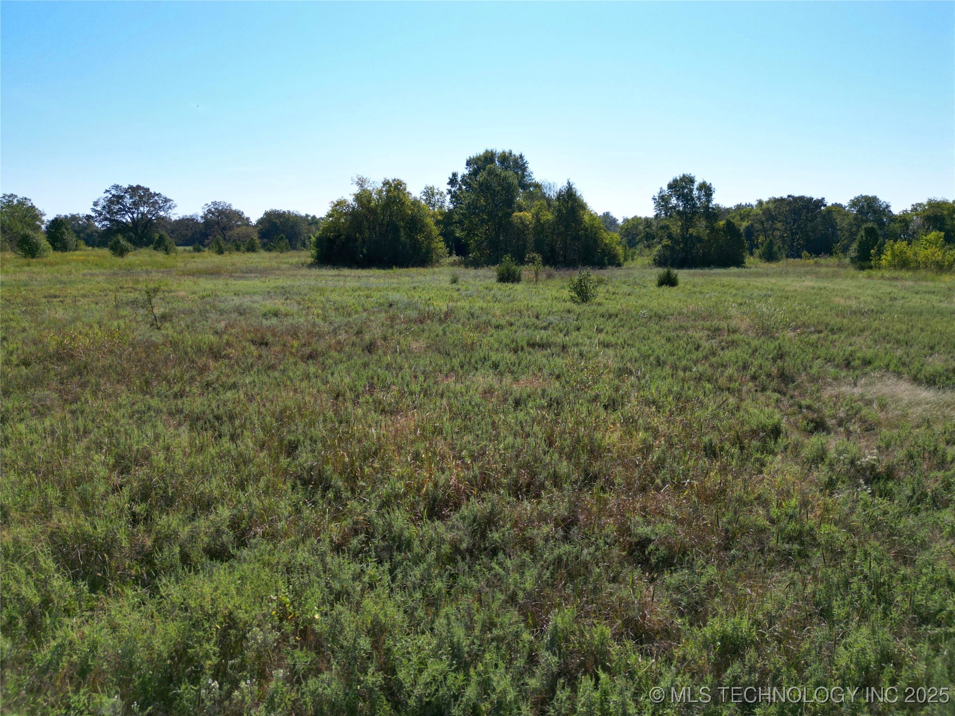 2541427 Property Photo 12