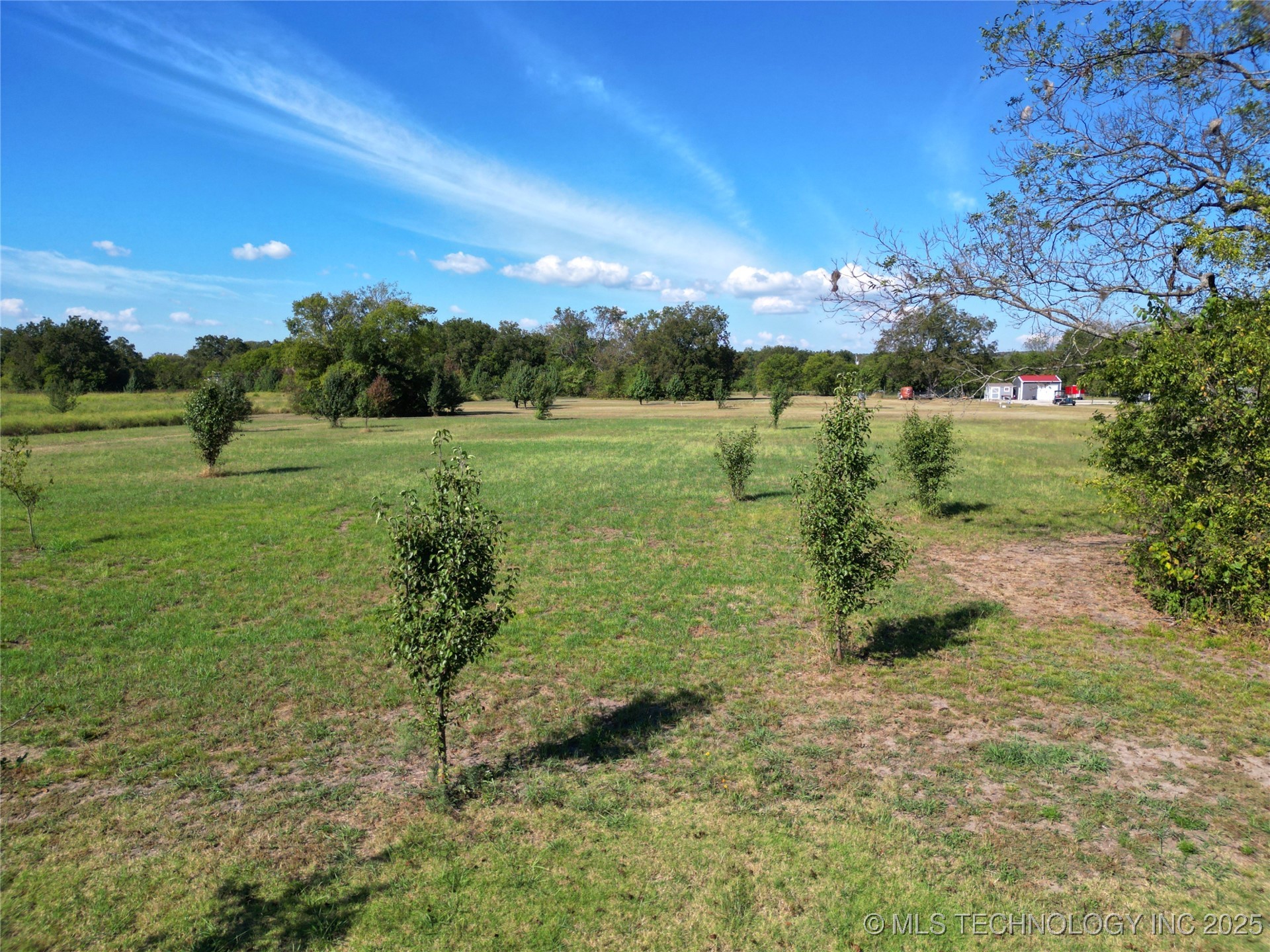 2541427 Property Photo 18