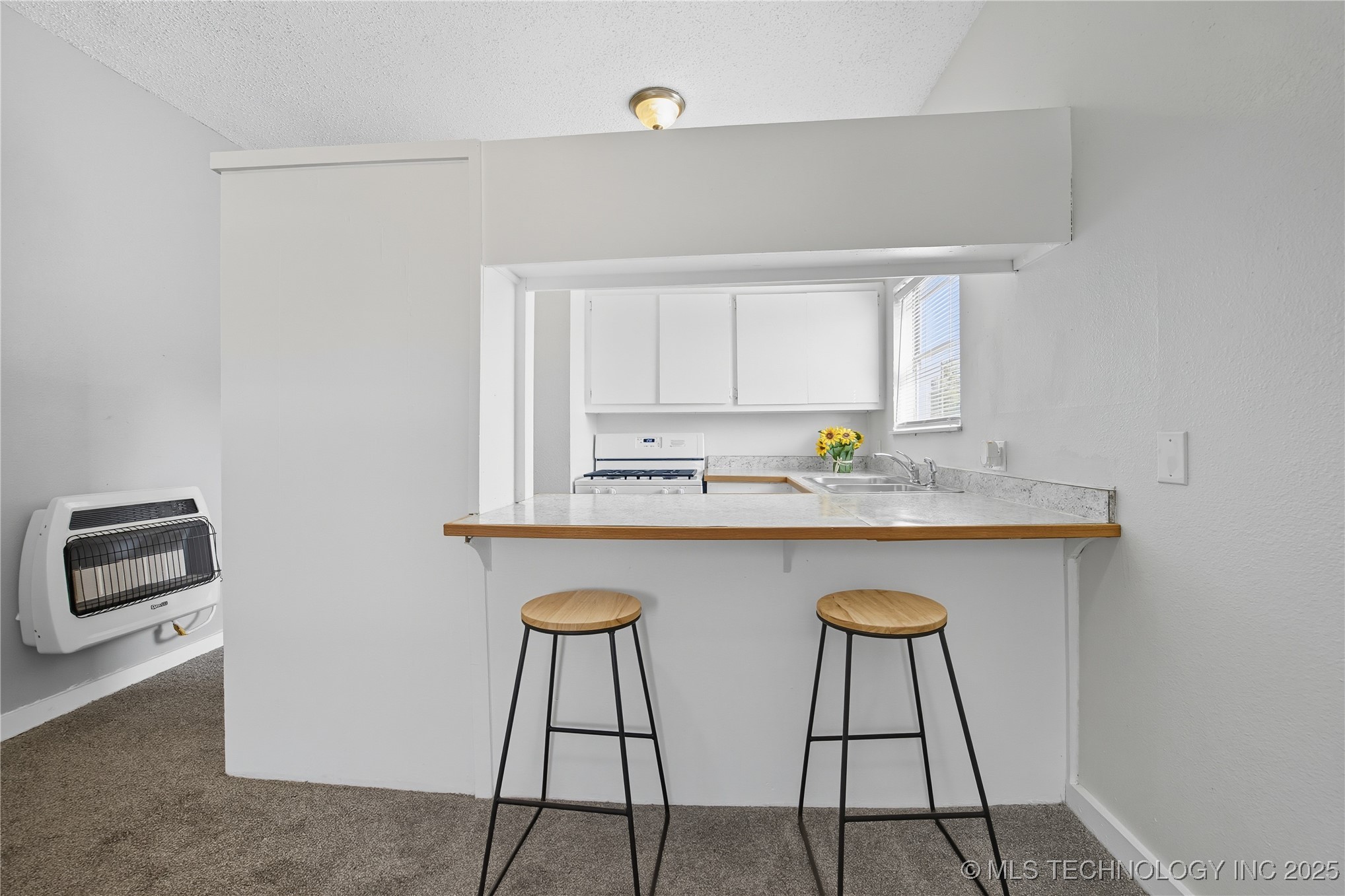 333 E Monroe Avenue Property Photo 22