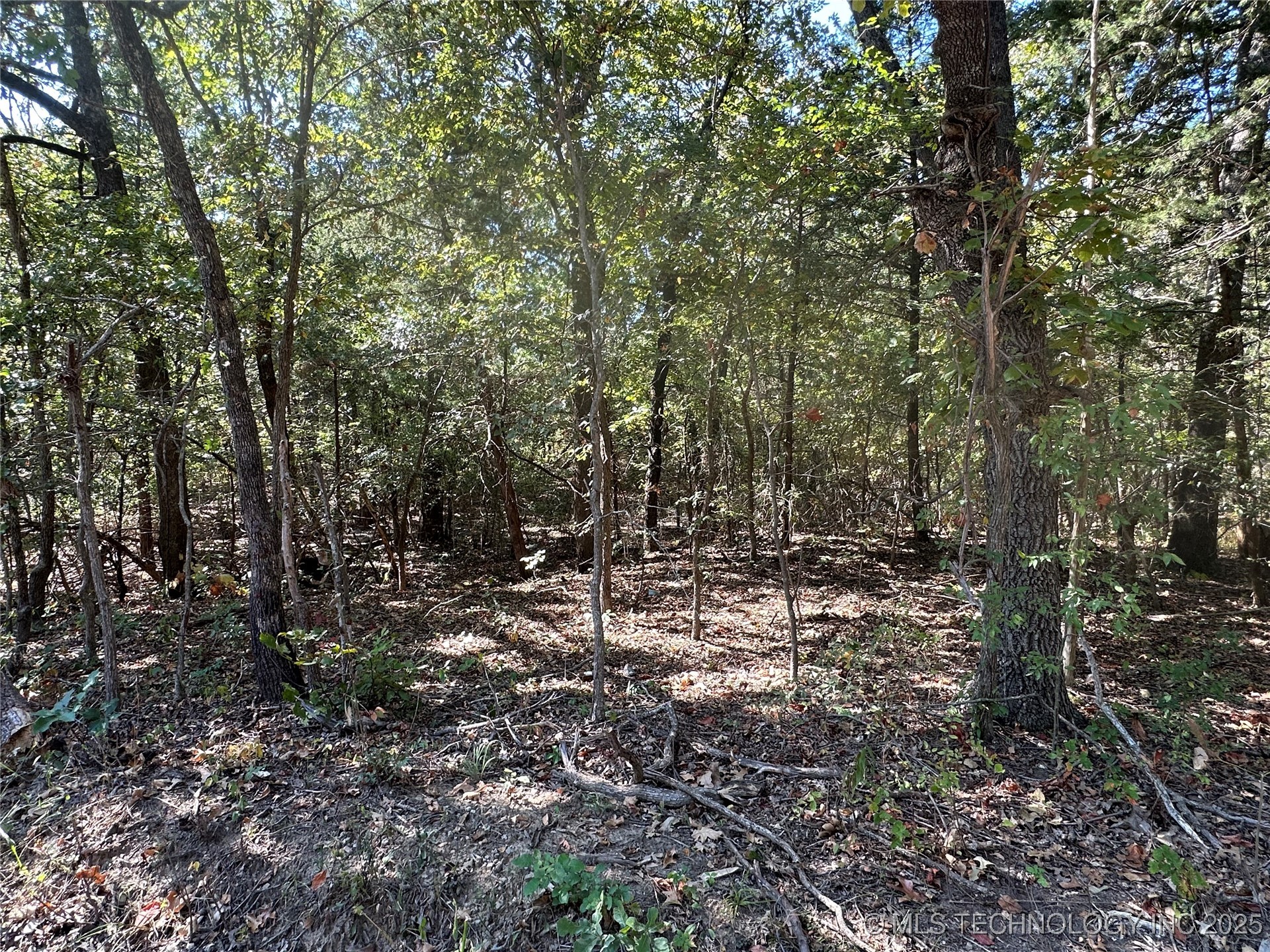 0 Cherokee Property Photo 3