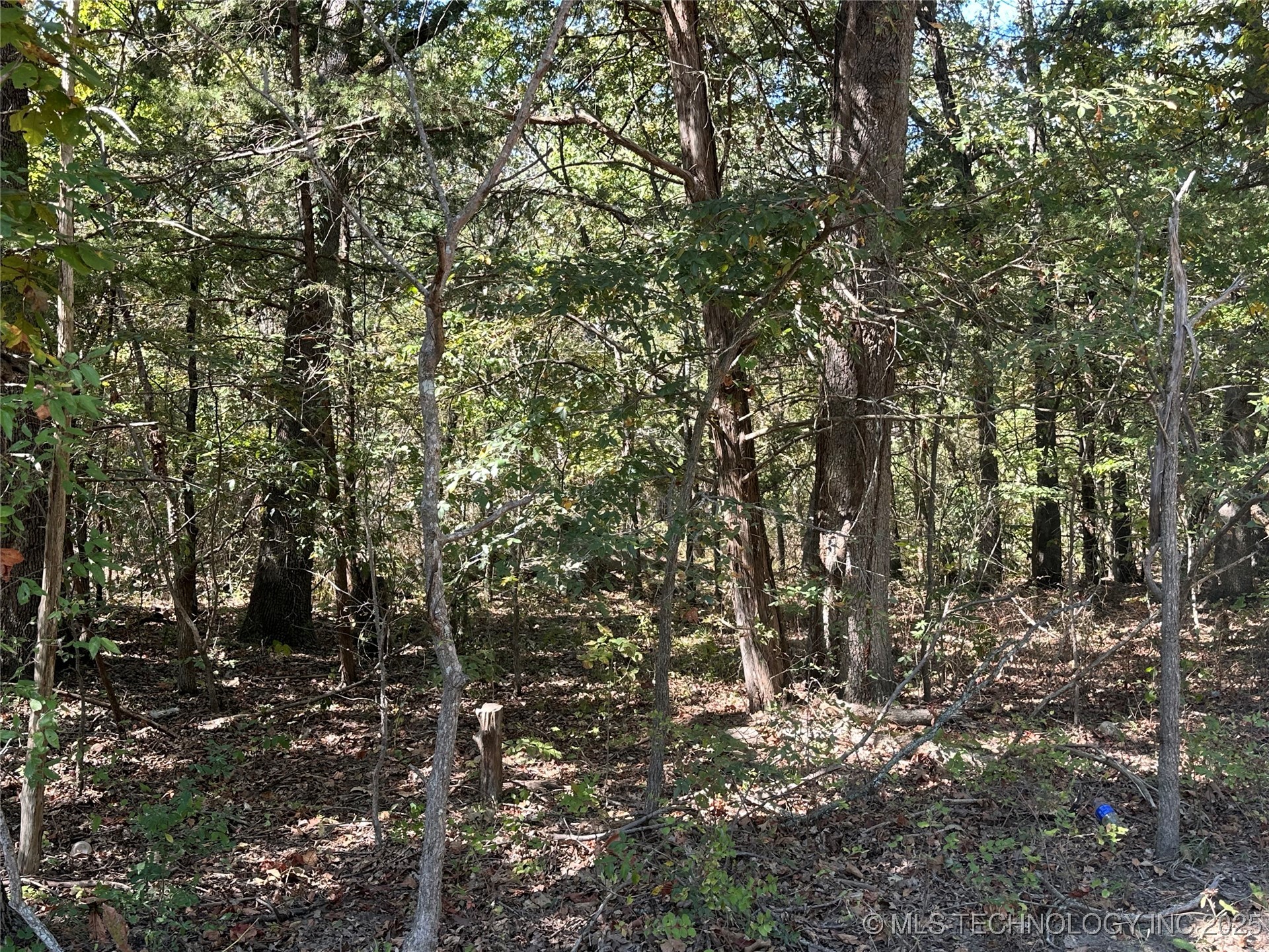 0 Cherokee Property Photo 4