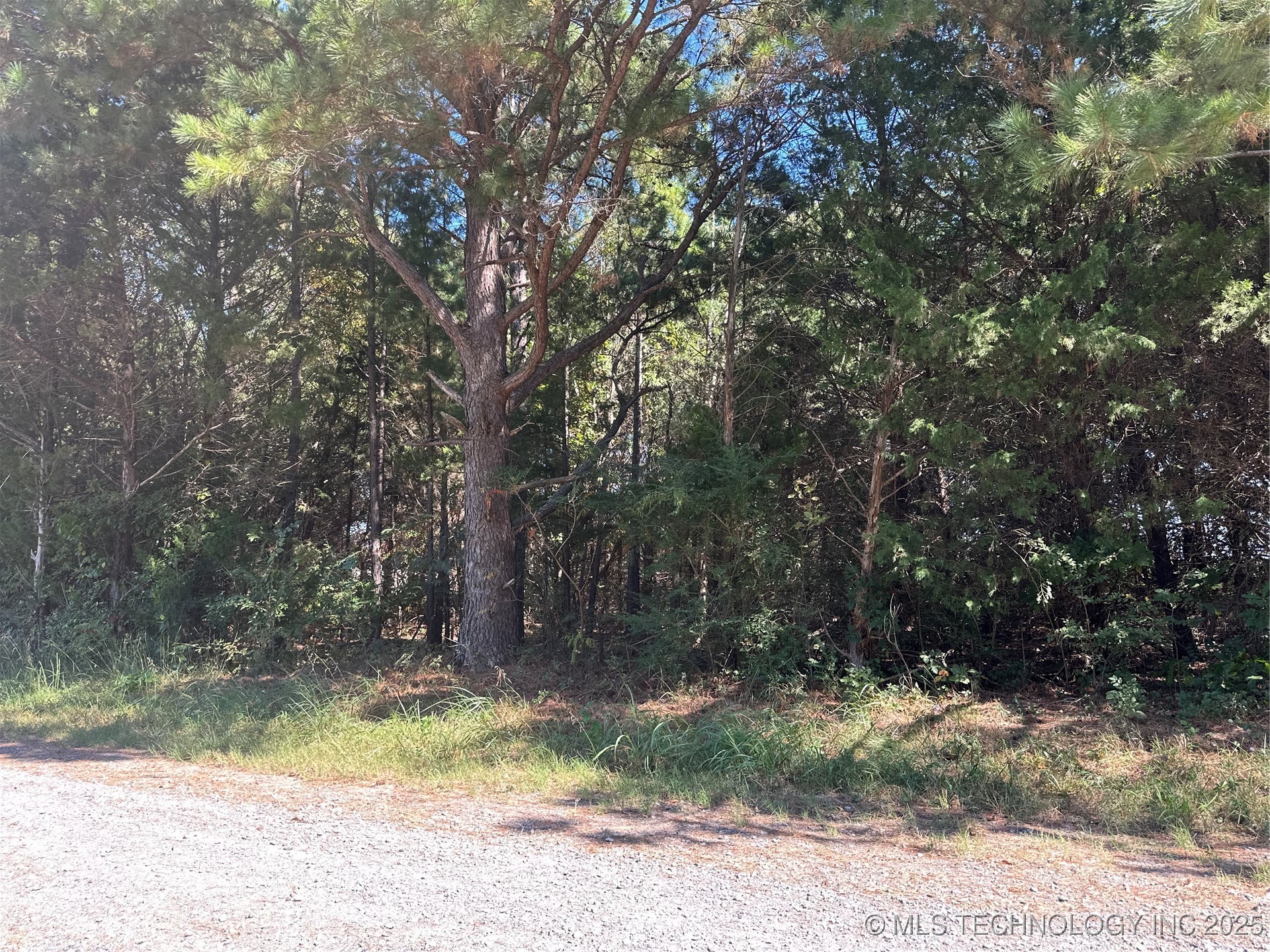 0 S Sac And Fox Property Photo 3