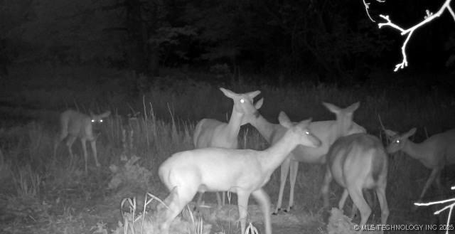 County Road 2561 Property Photo 51