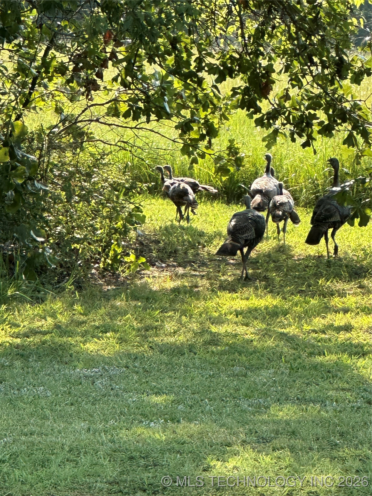 County Road 2561 Property Photo 52