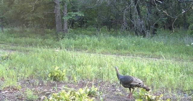 County Road 2561 Property Photo 54
