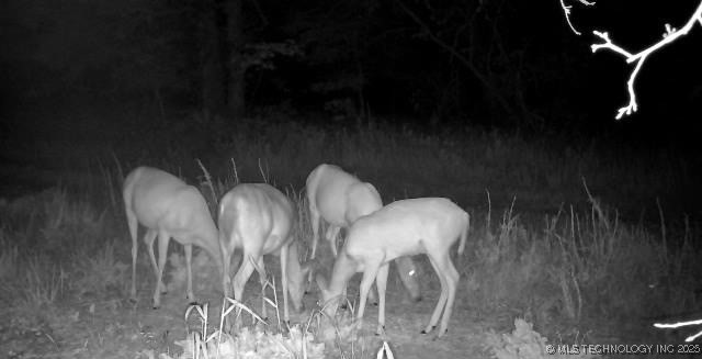 County Road 2561 Property Photo 55