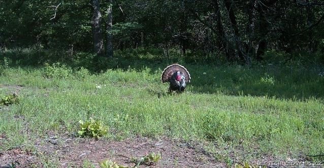 County Road 2561 Property Photo 56