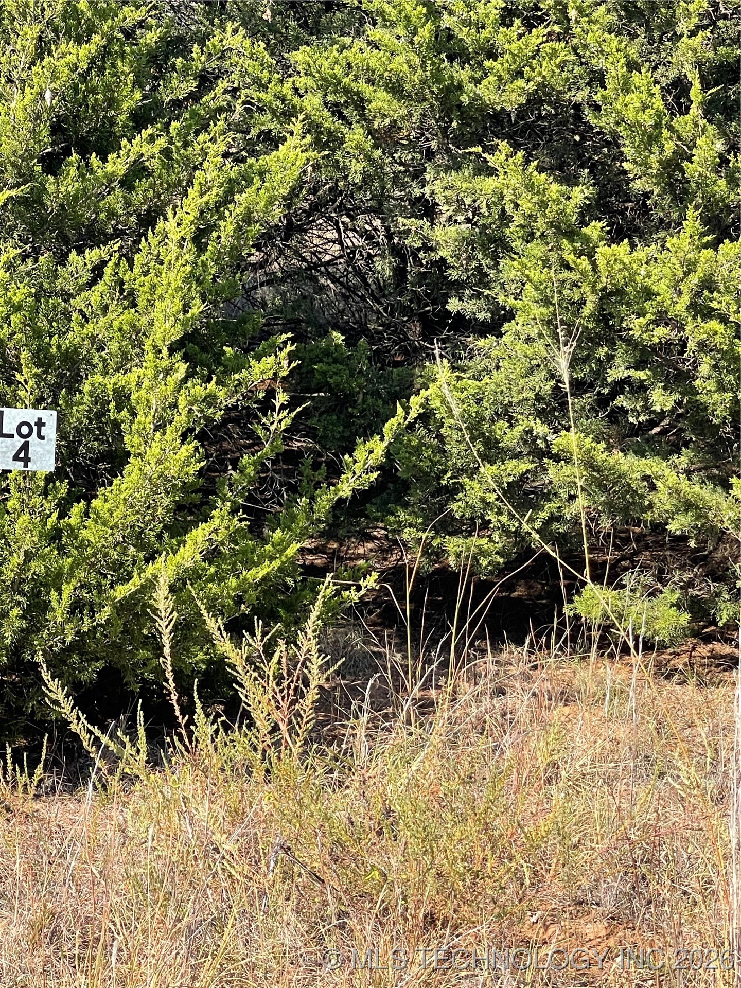 8006 W Jazz Property Photo 1