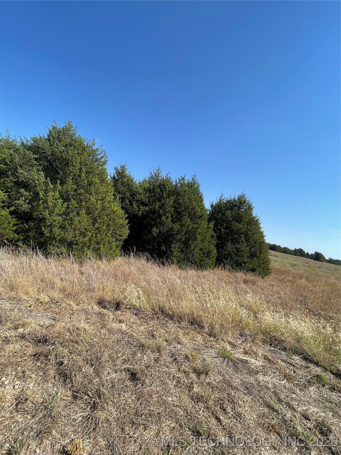 8006 W Jazz Property Photo 2