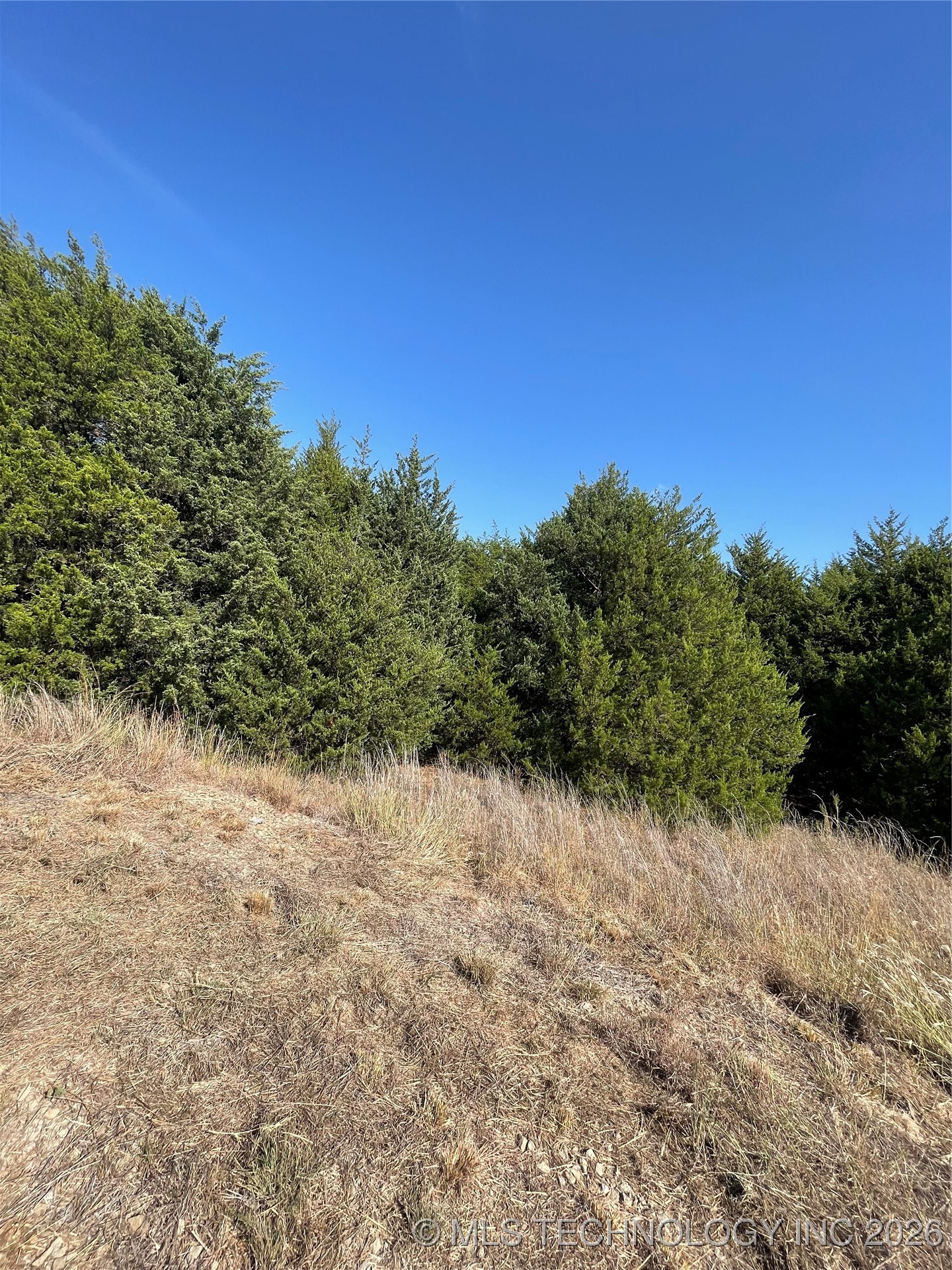 8006 W Jazz Property Photo 3