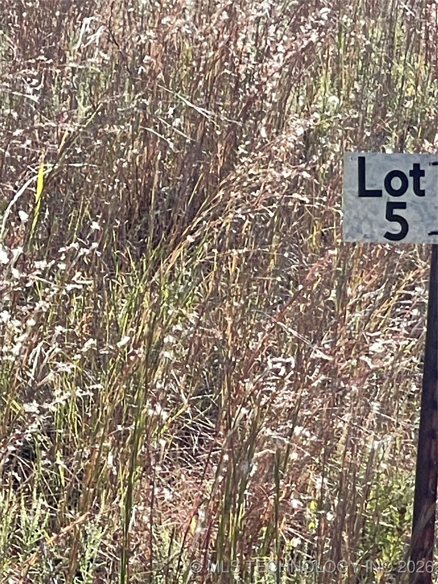 8007 W Jazz Property Photo 1