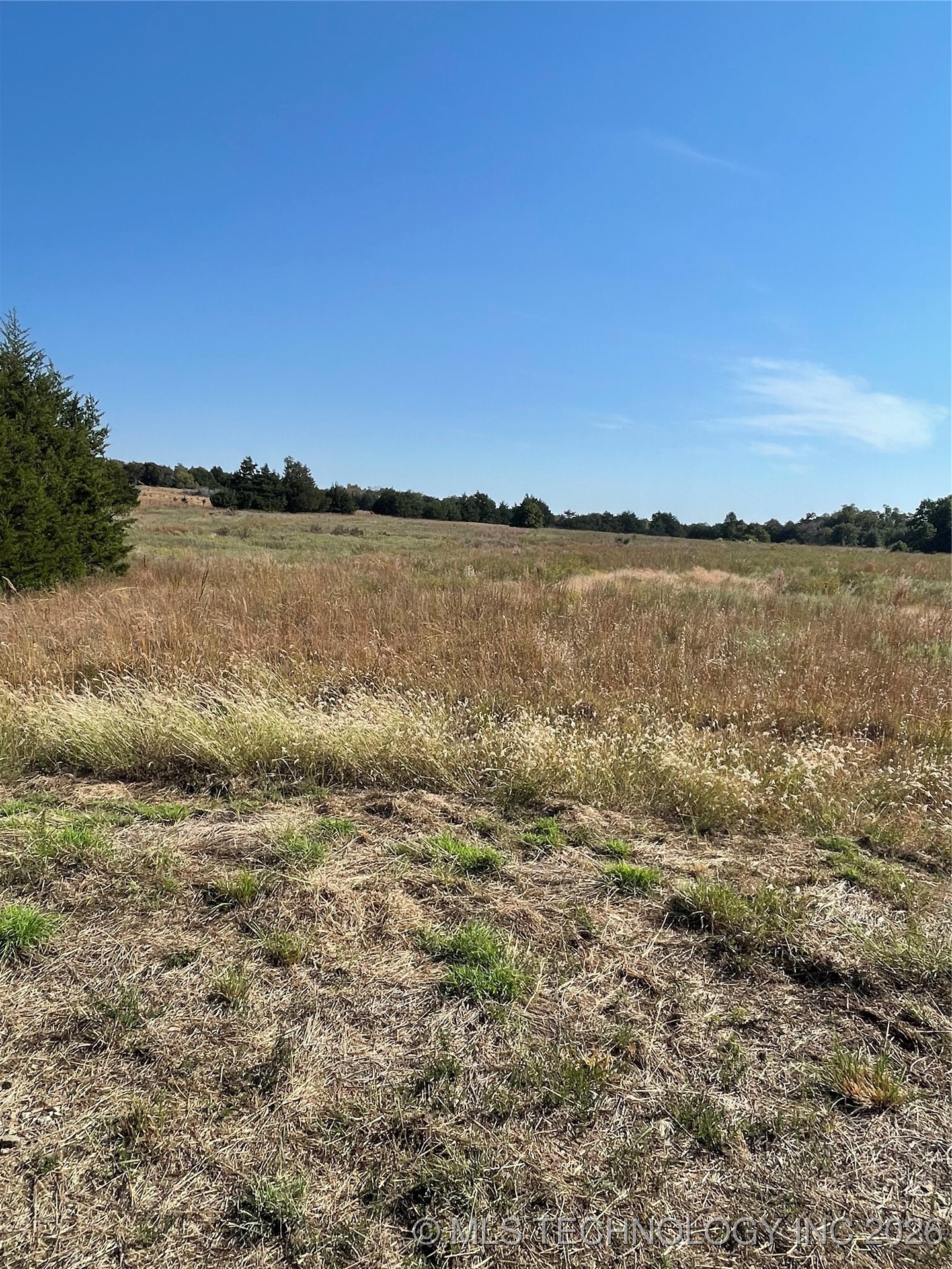 8007 W Jazz Property Photo 2