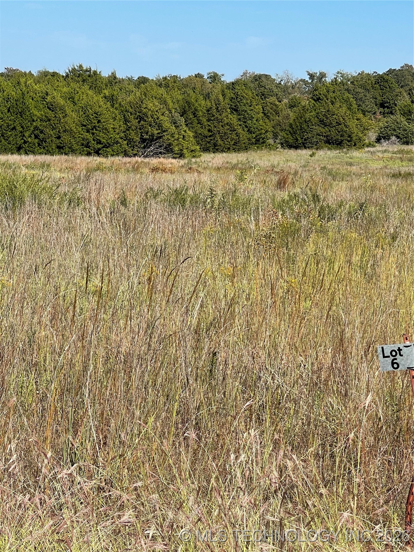 8019 W Jazz Property Photo 1