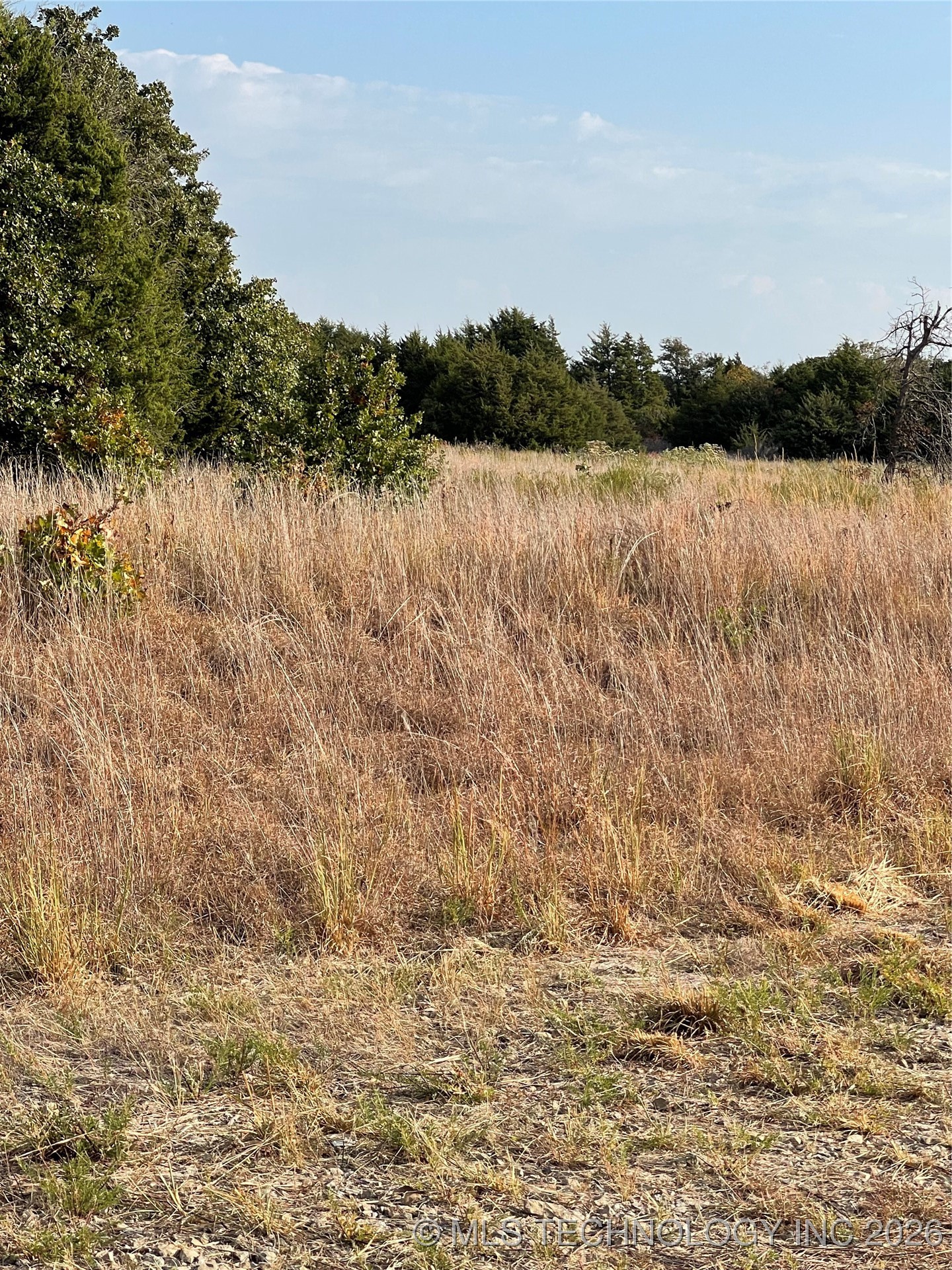 8004 W Jade Property Photo 2