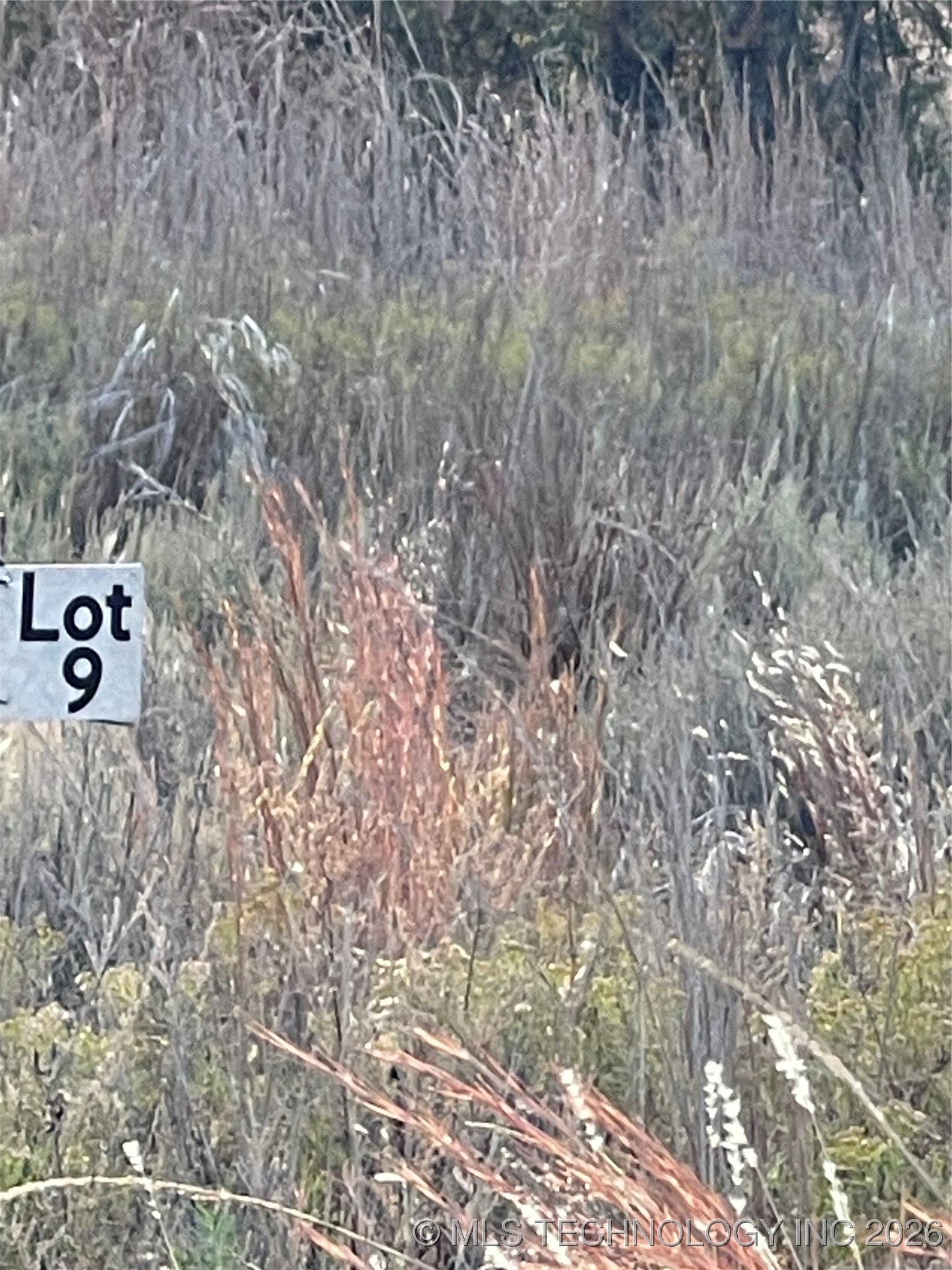 8005 W Jade Property Photo 1