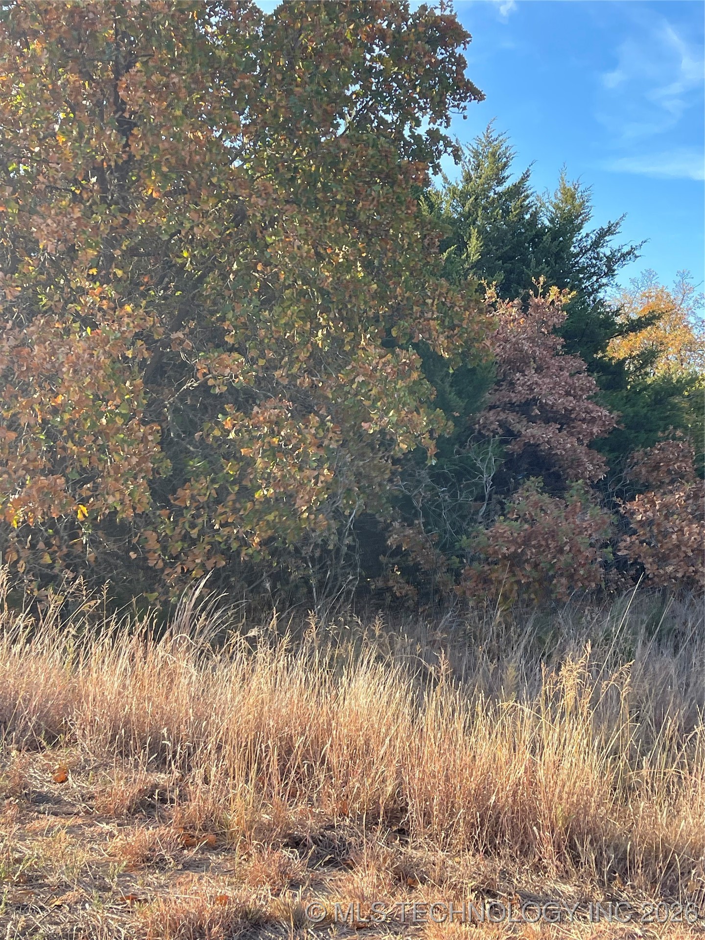 8005 W Jade Property Photo 2