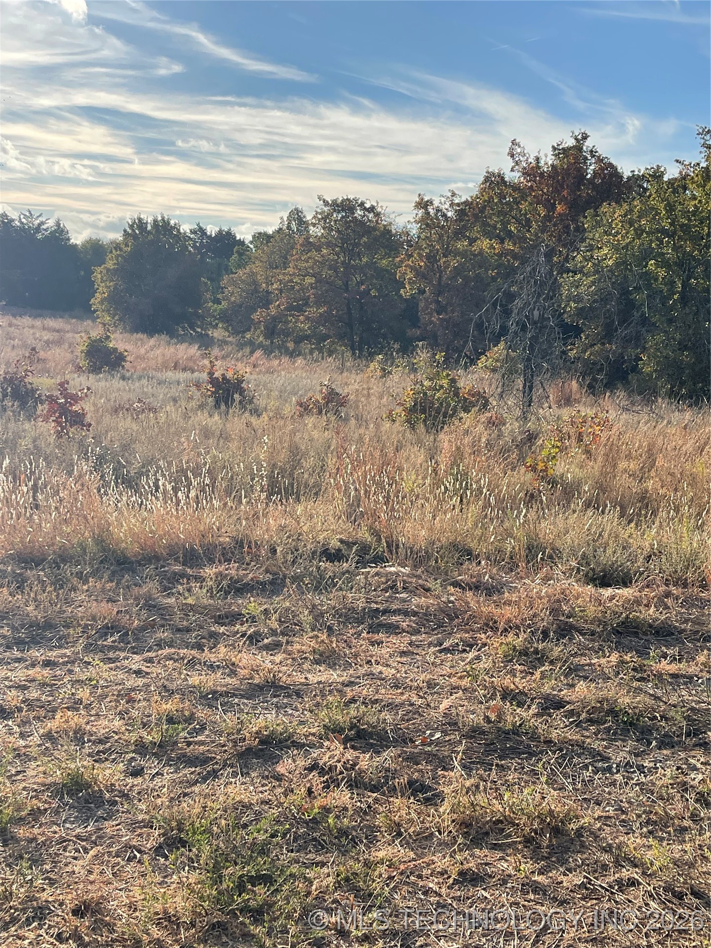 8005 W Jade Property Photo 3