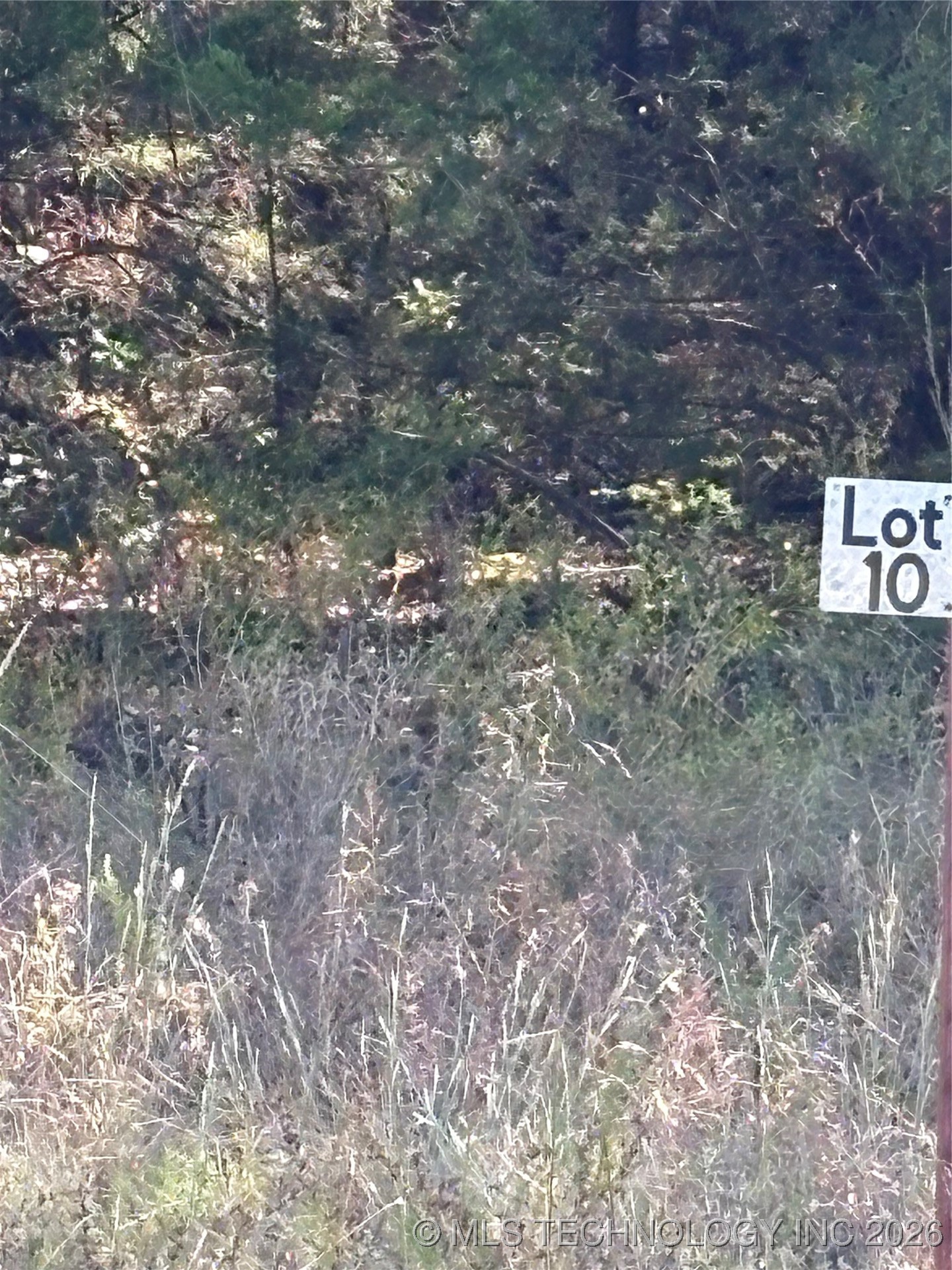 8017 W Jade Property Photo 1