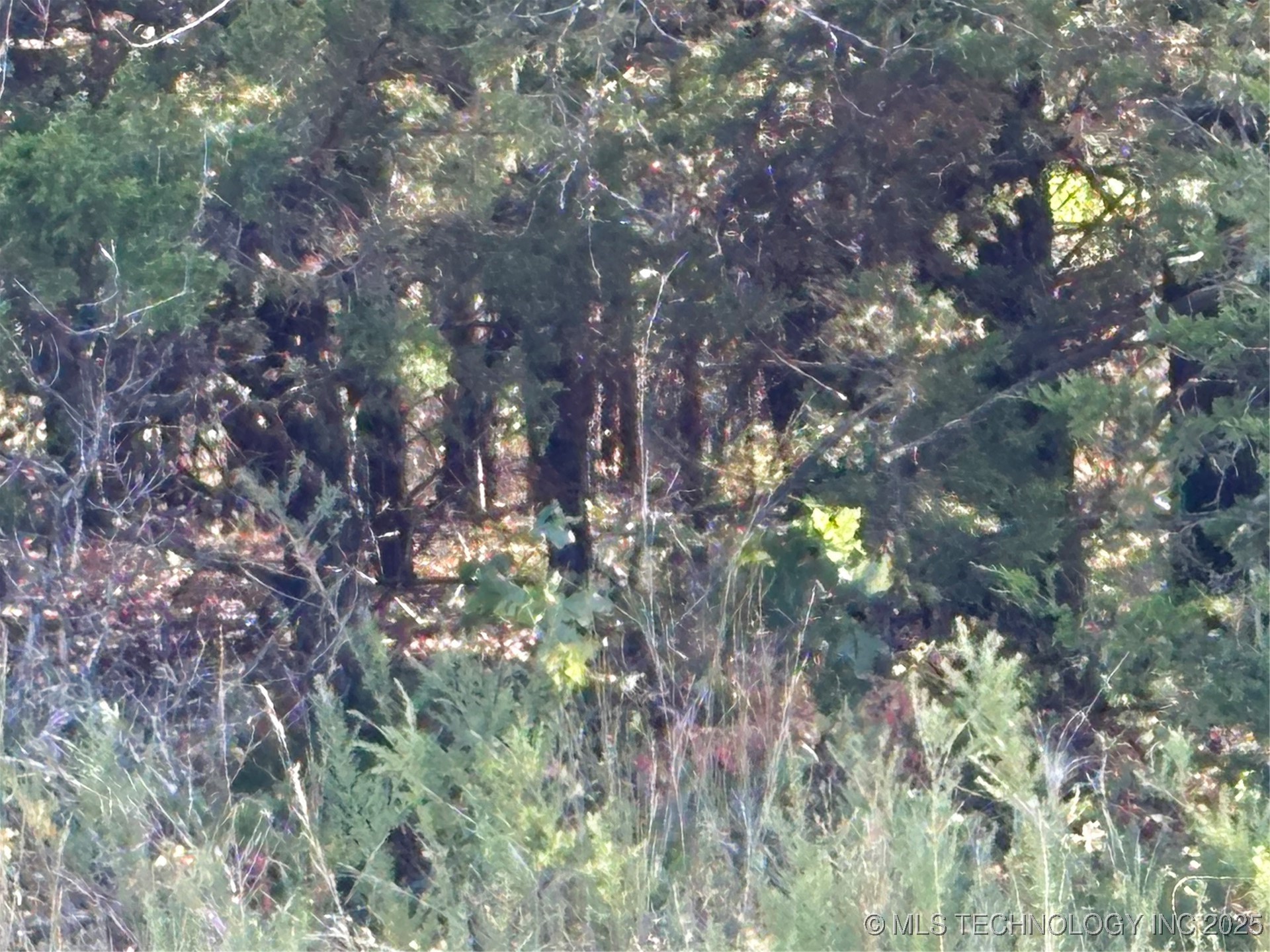 8017 W Jade Property Photo 2